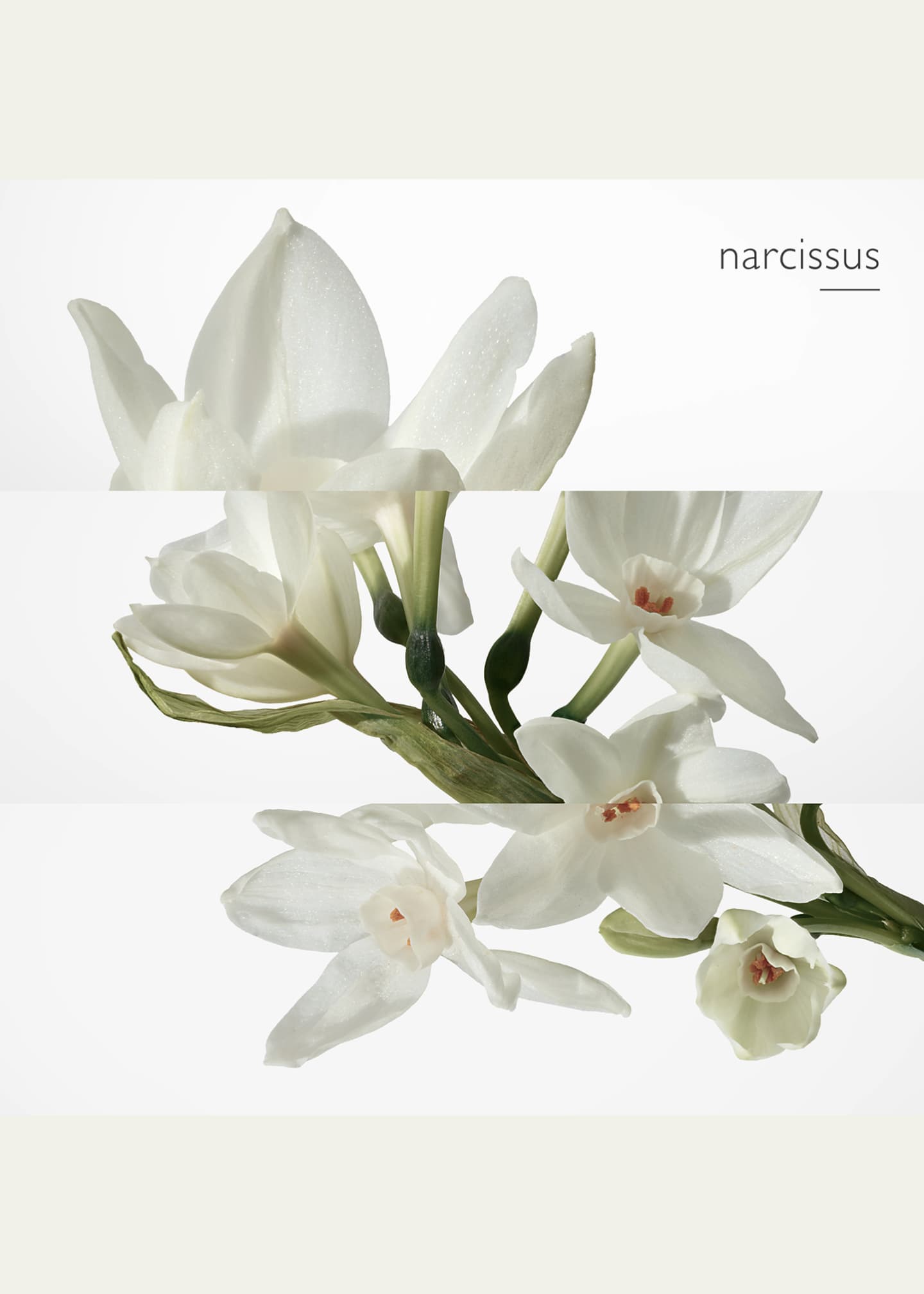 Eau de narcisse bleu new arrivals hermes