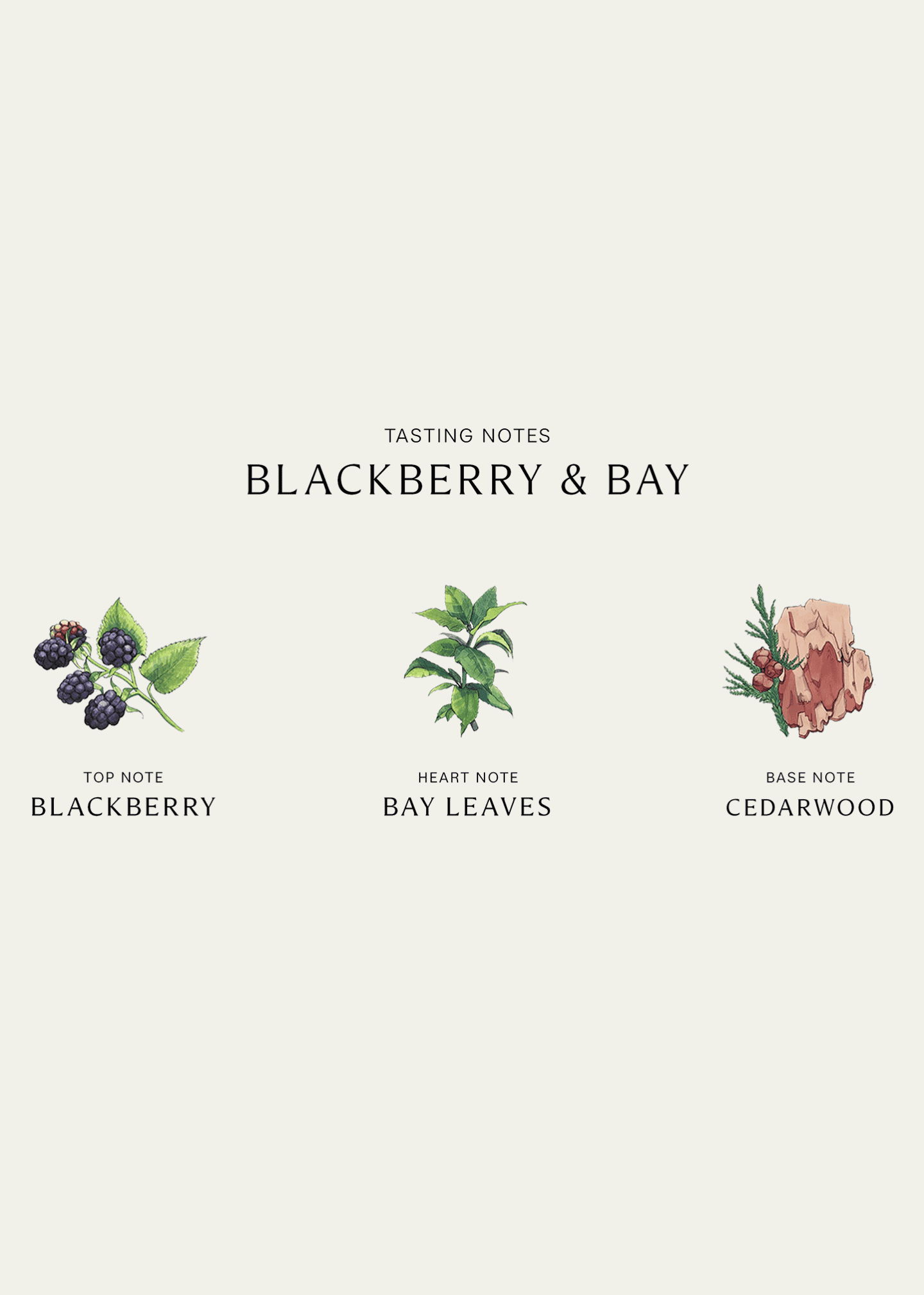 Jo Malone London Blackberry & Bay Body Creme, 175 mL Image 3 of 3