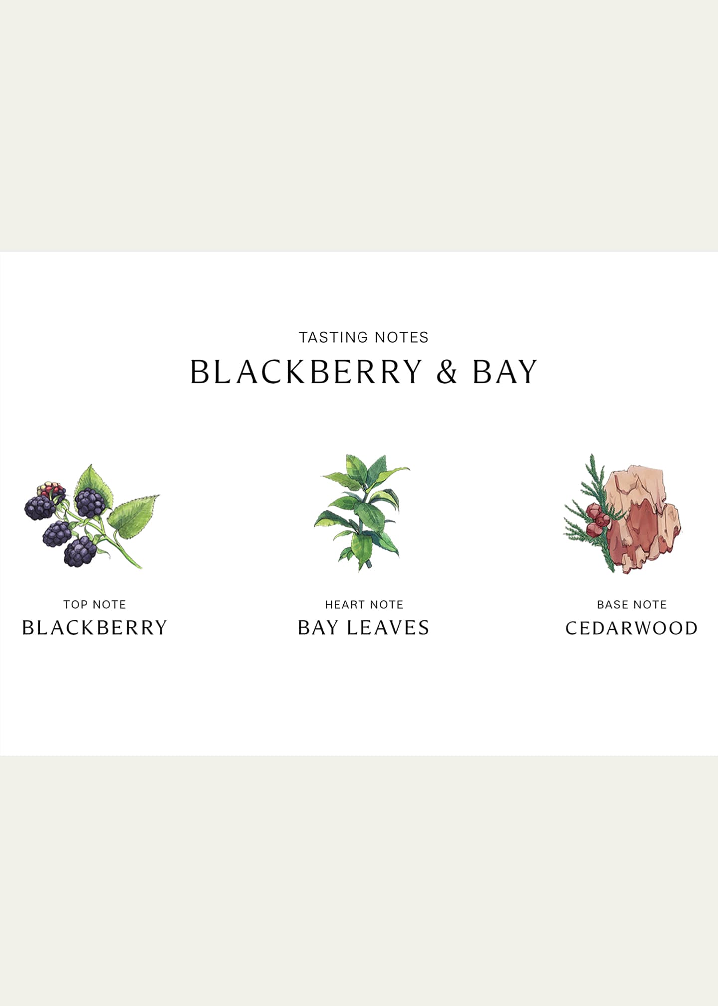 Jo Malone London Blackberry & Bay Body & Hand Wash, 250 mL Image 3 of 3