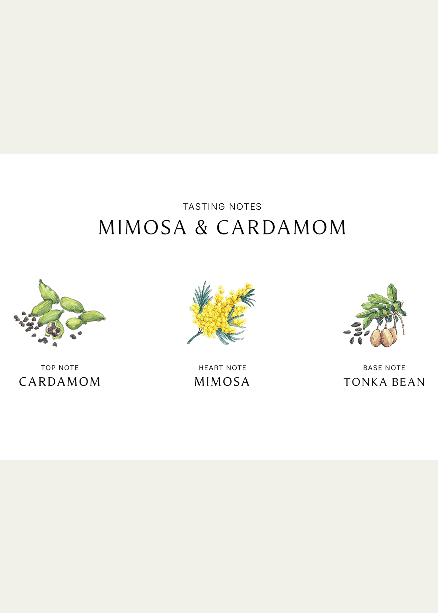 Jo Malone London Mimosa & Cardamom Home Candle, 7 oz. Image 4 of 5