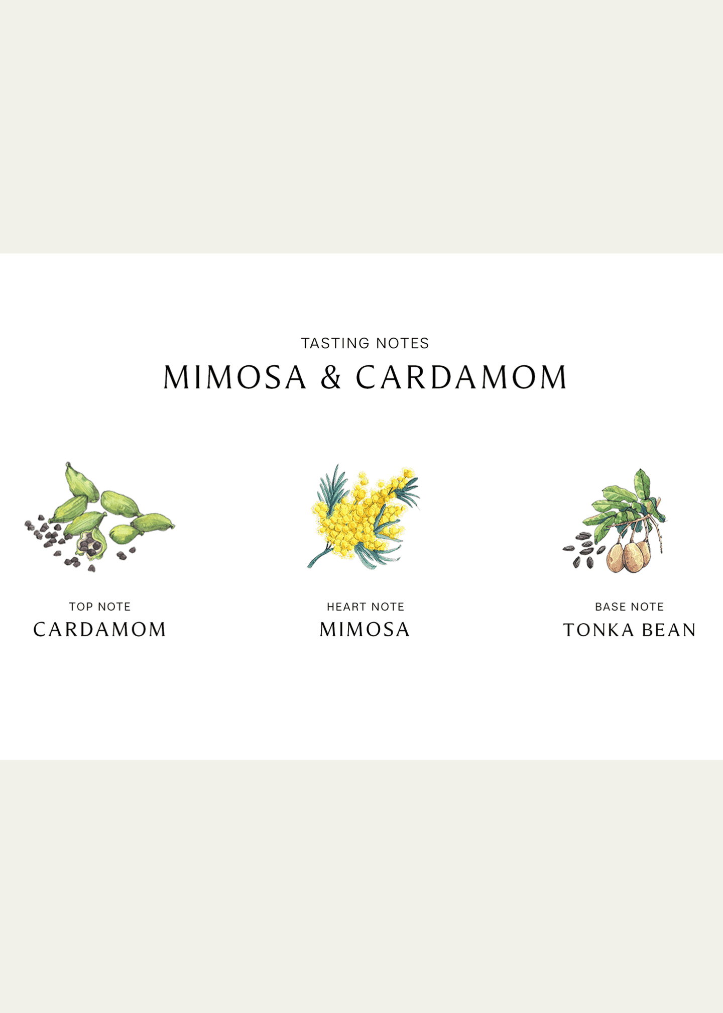 Jo Malone London Mimosa & Cardamom, 30 mL/ 1.0 oz. Image 3 of 3