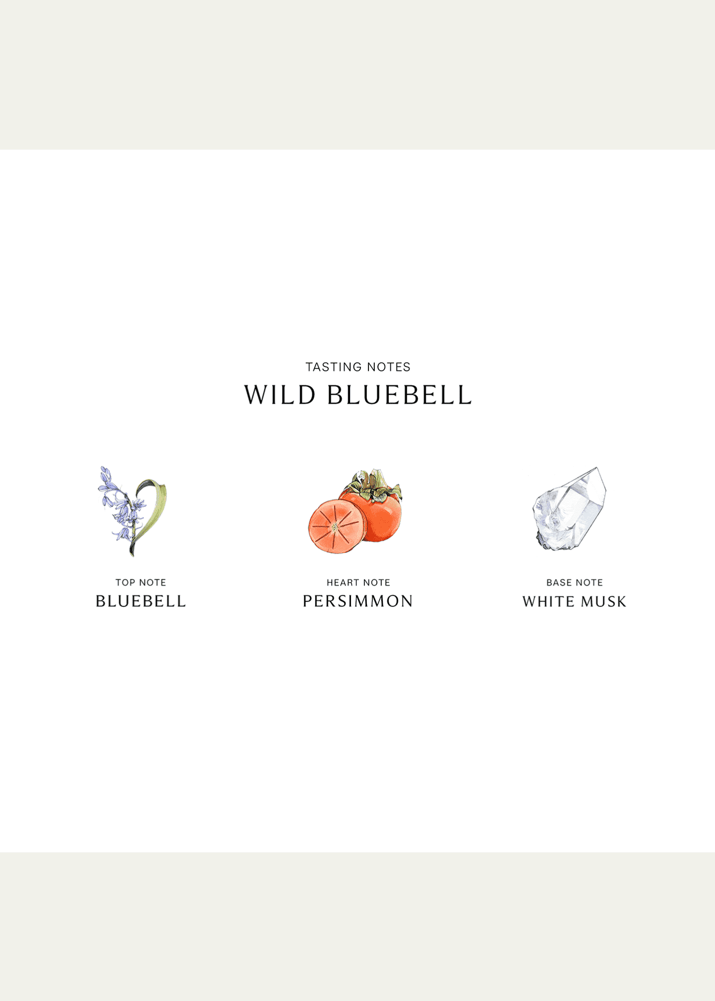 Jo malone london hotsell wild bluebell cologne