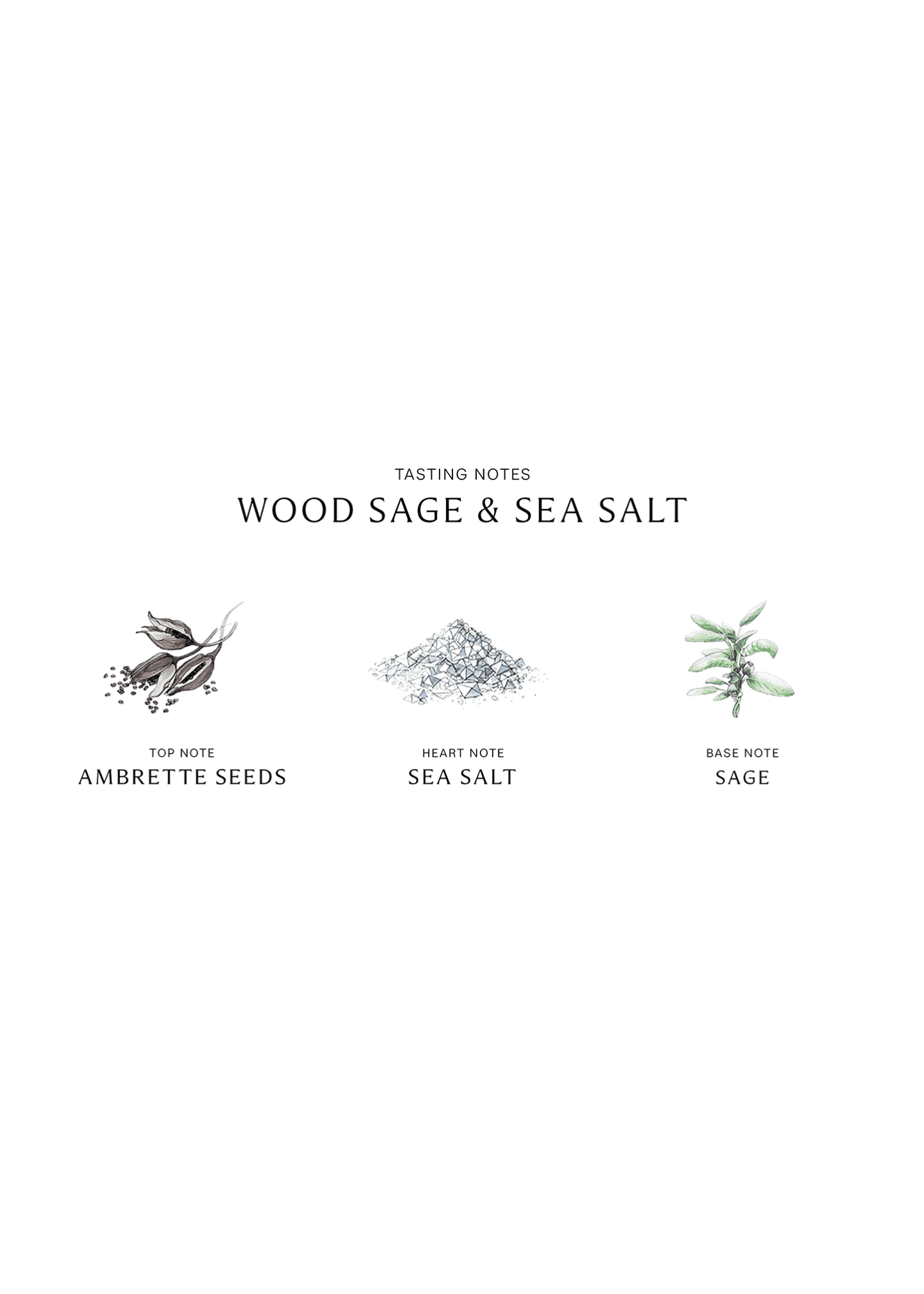 Jo malone sea salt deals and wood sage cologne