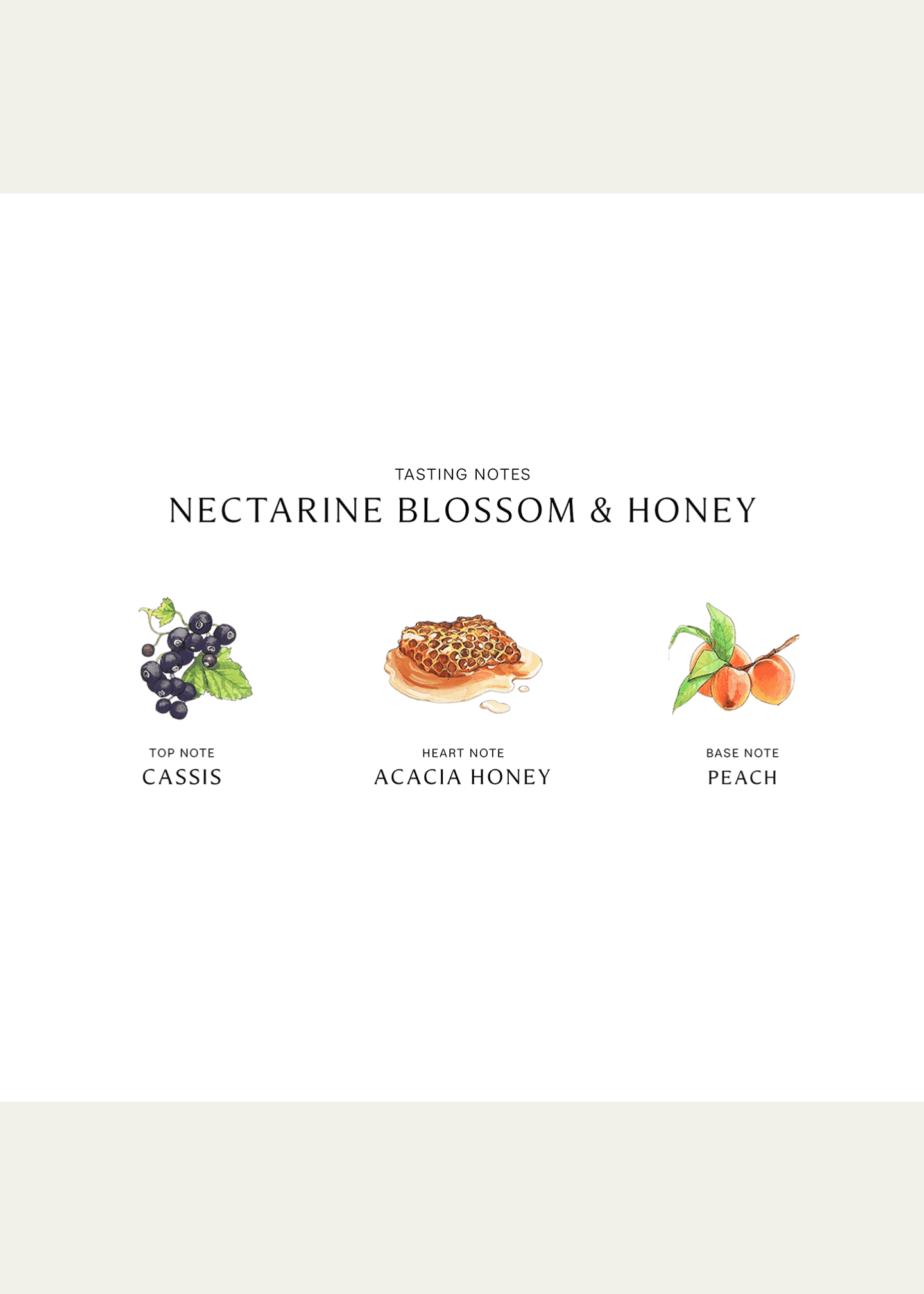 Jo Malone London Nectarine Blossom & Honey Cologne, 1.0 oz. Image 3 of 3