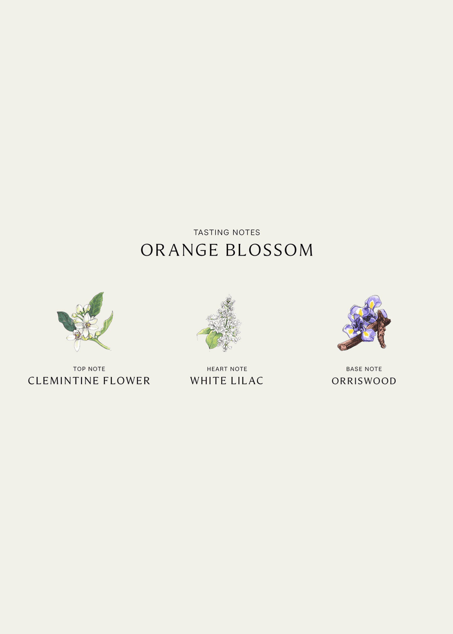 Jo Malone London Orange Blossom Home Candle, 7 oz. Image 4 of 5