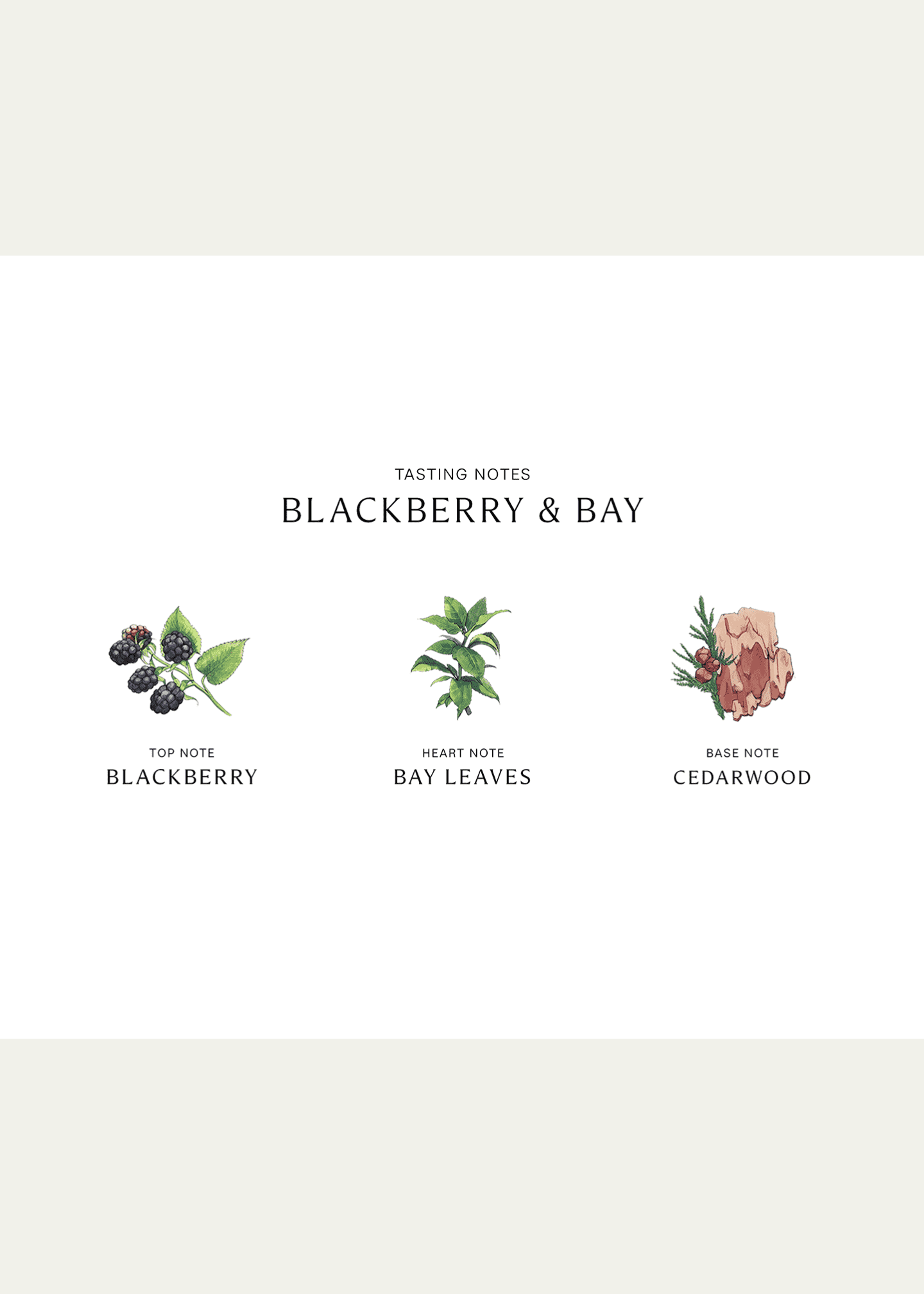 Jo Malone London Blackberry & Bay Cologne, 3.4 oz. Image 3 of 3