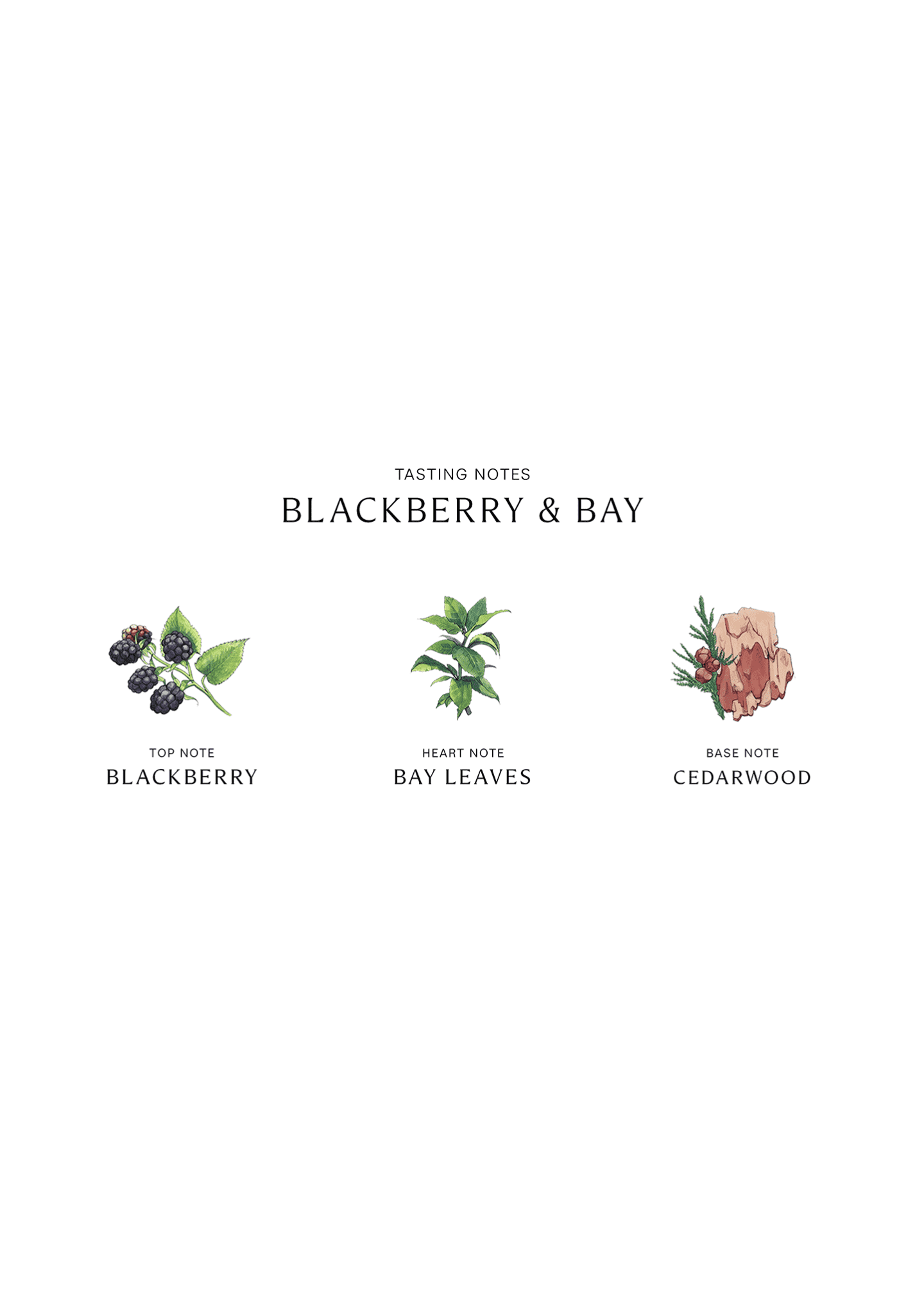 Jo Malone London Blackberry & Bay Scented Candle Image 4 of 5