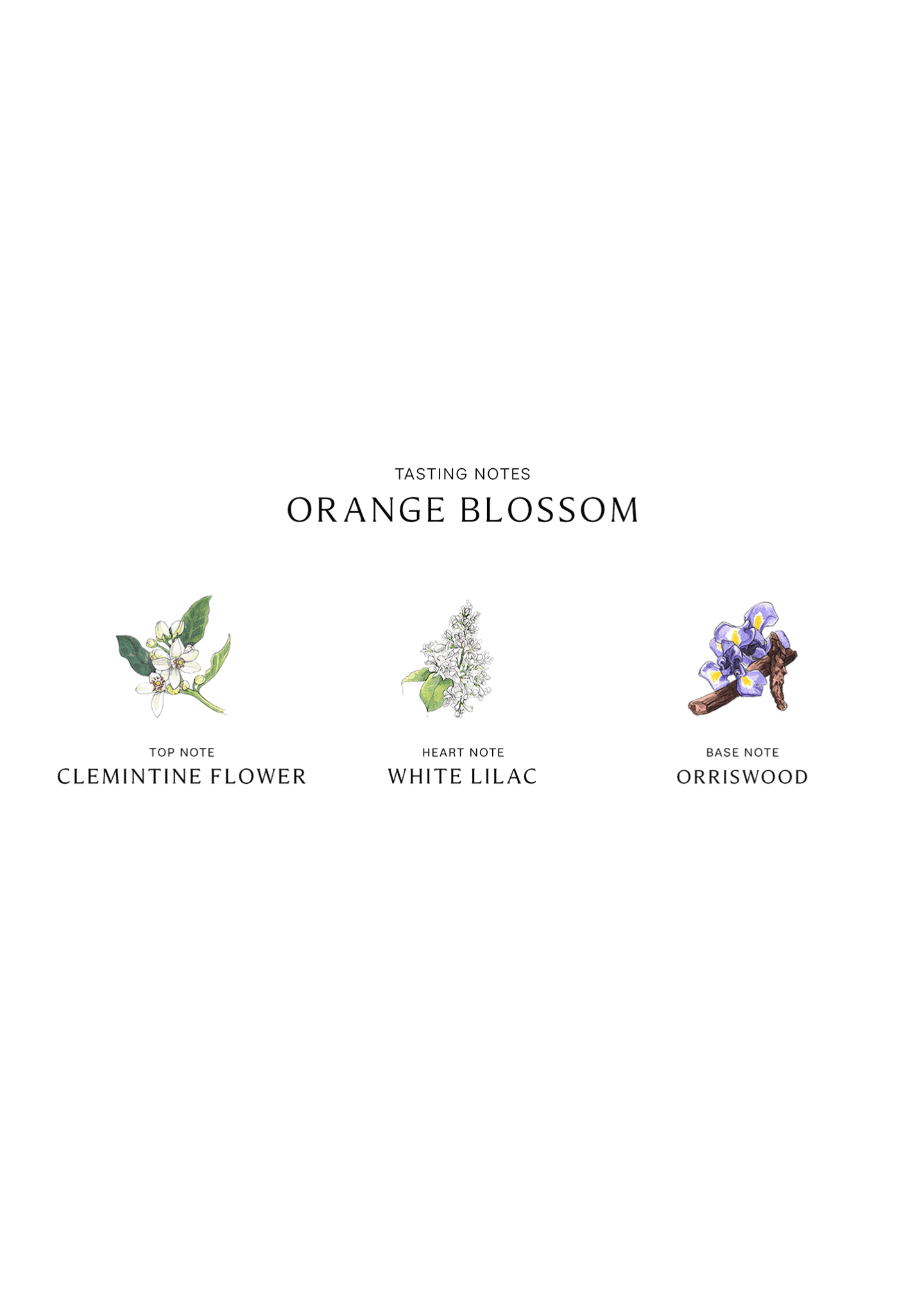 Jo malone london orange blossom cologne discount