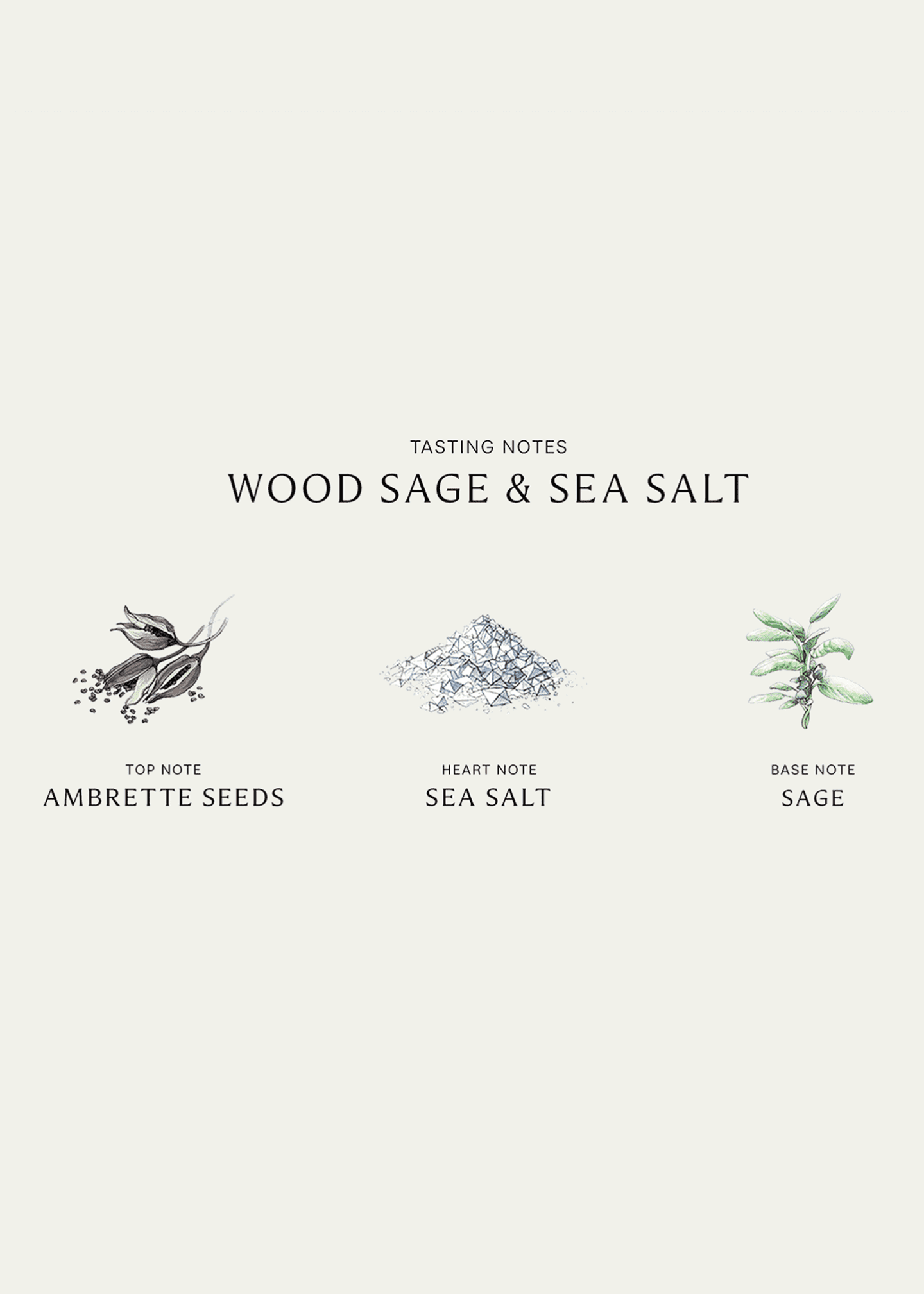 Jo Malone London Wood Sage & Sea Salt Cologne, 1.0 oz. Image 3 of 3