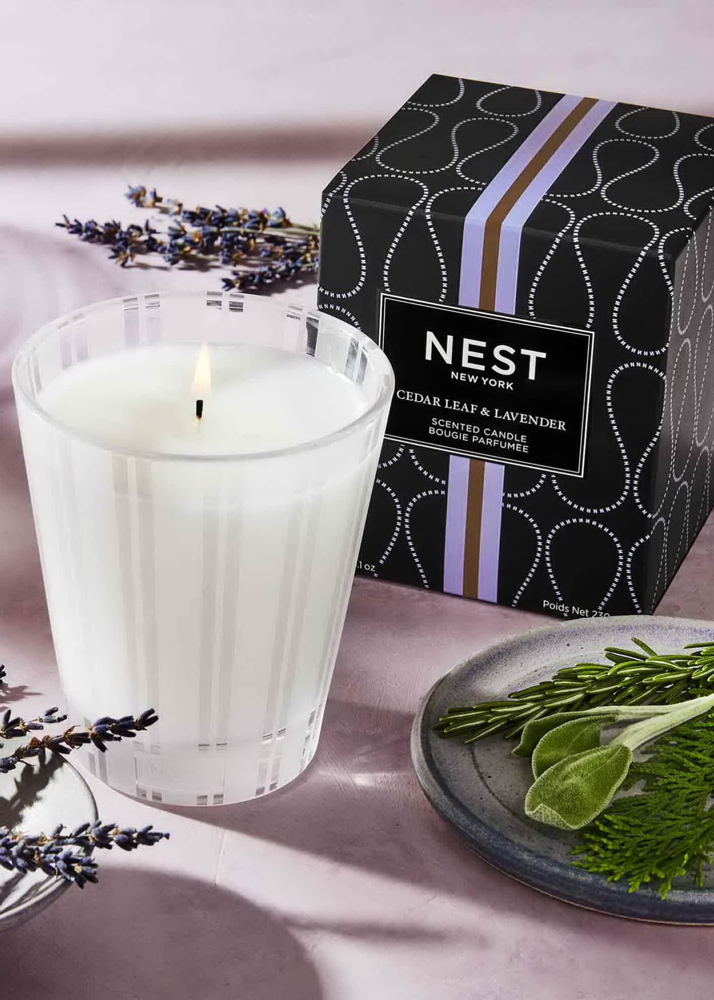 NEST New York Cedar Leaf & Lavender Classic Candle, 8.1 oz. Image 3 of 5