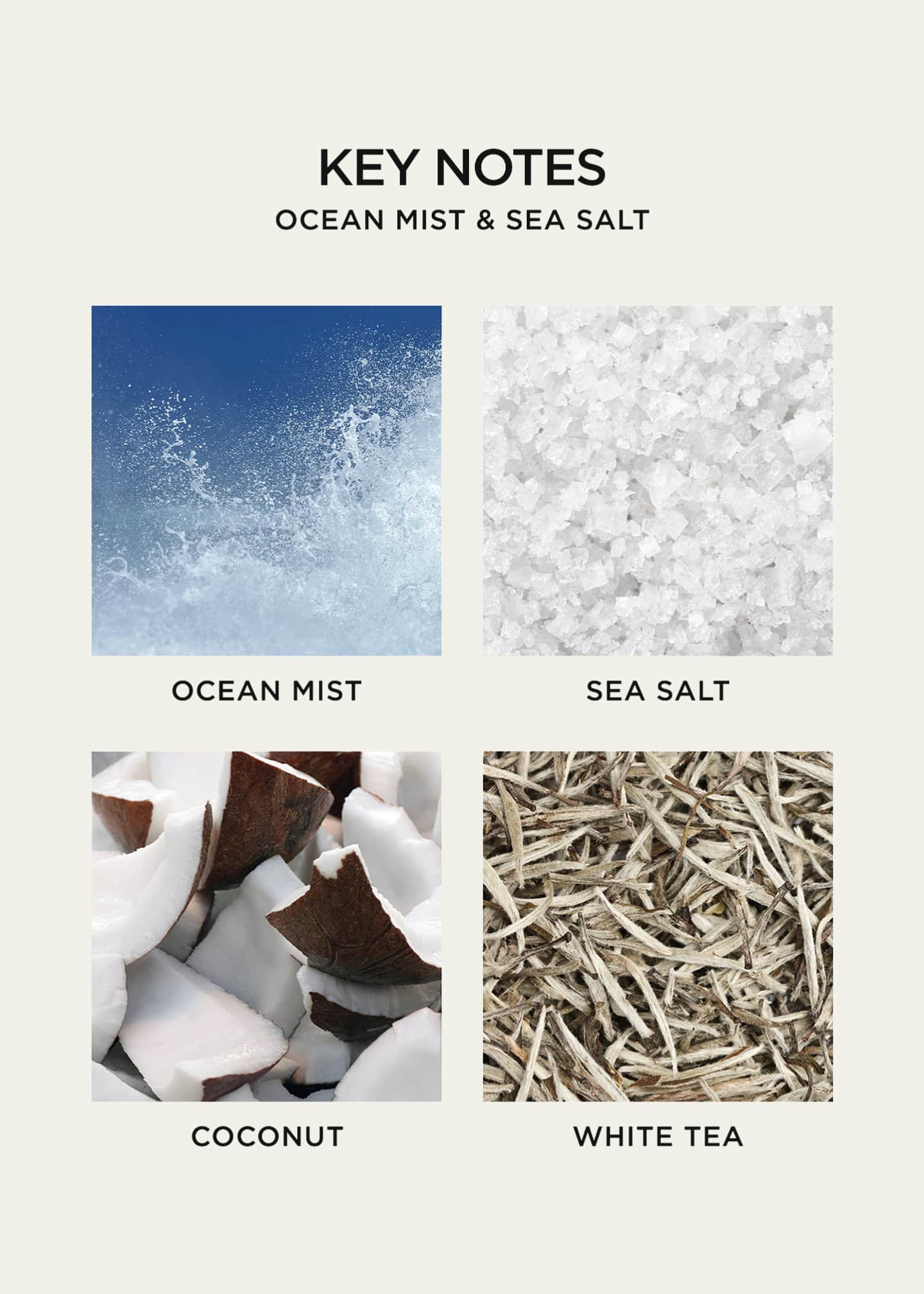 NEST New York Ocean Mist & Sea Salt Classic Candle, 8.2 oz. Image 5 of 5