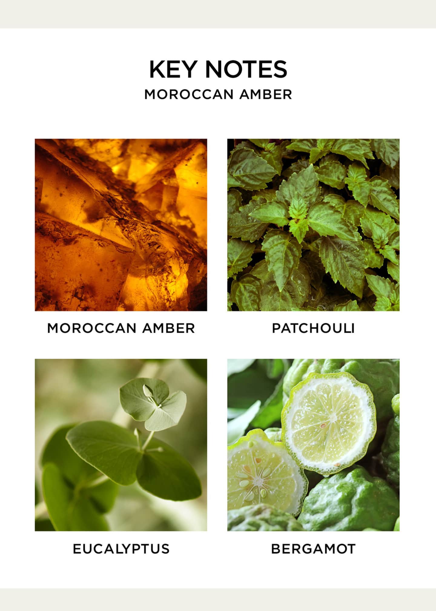 NEST New York Moroccan Amber Reed Diffuser, 5.9 oz. Bergdorf Goodman