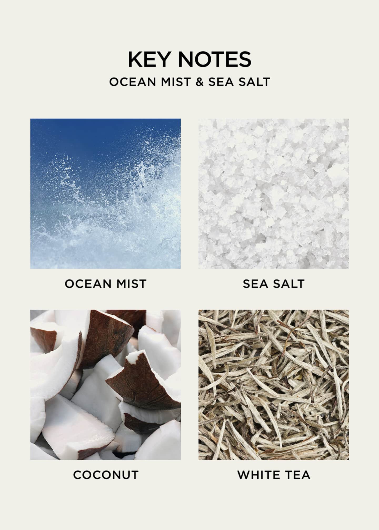 NEST New York Ocean Mist & Sea Salt Liquid Soap, 10 oz. Image 5 of 5
