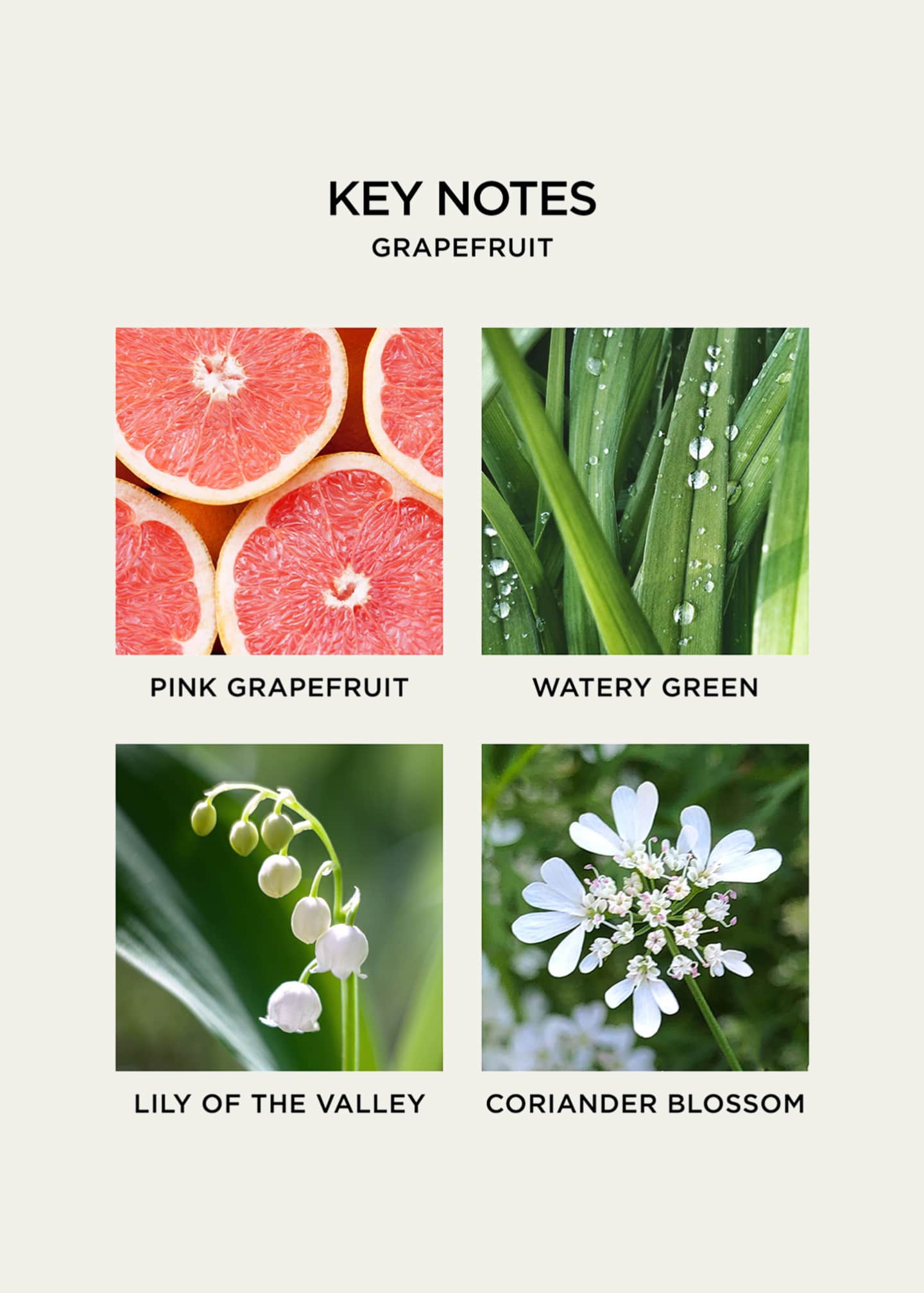 NEST New York 21.2 oz. Grapefruit 3Wick Candle Bergdorf Goodman