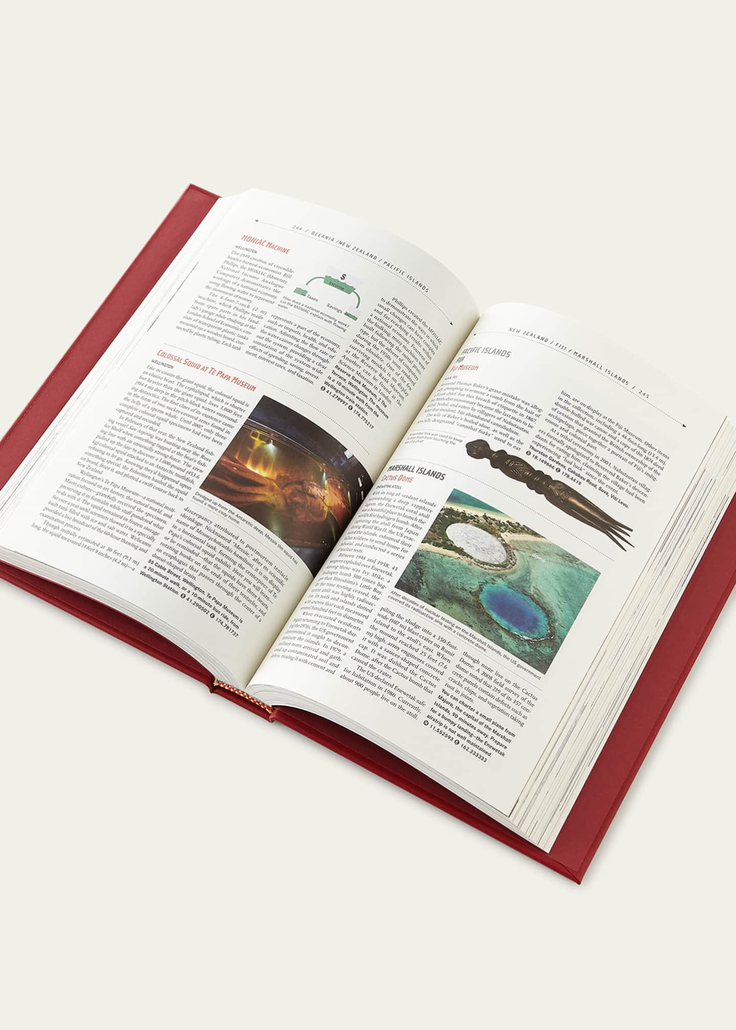 Graphic Image Atlas Obscura Book, Personalized Image 2 of 2