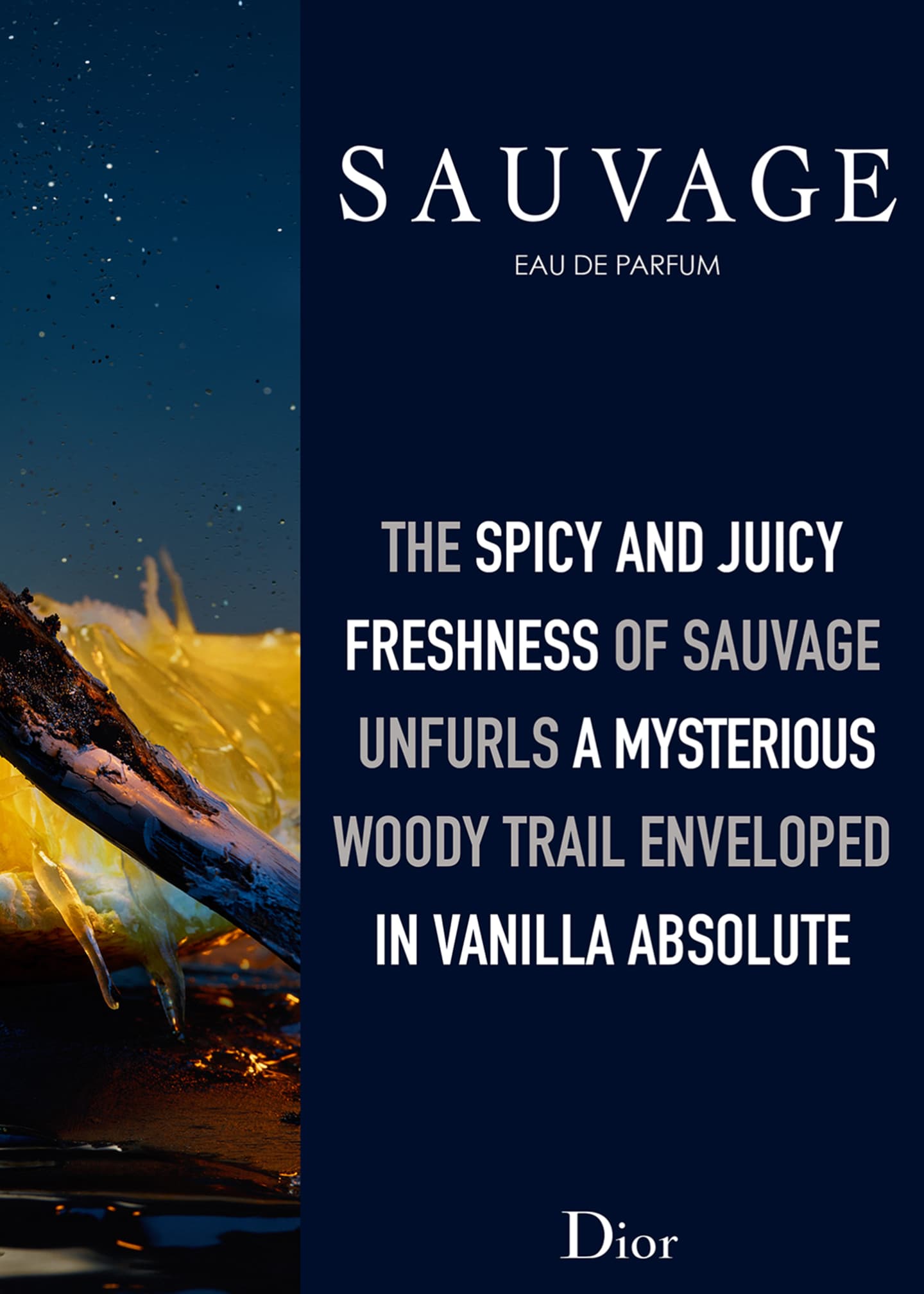 Sauvage dior apa de parfum hot sale