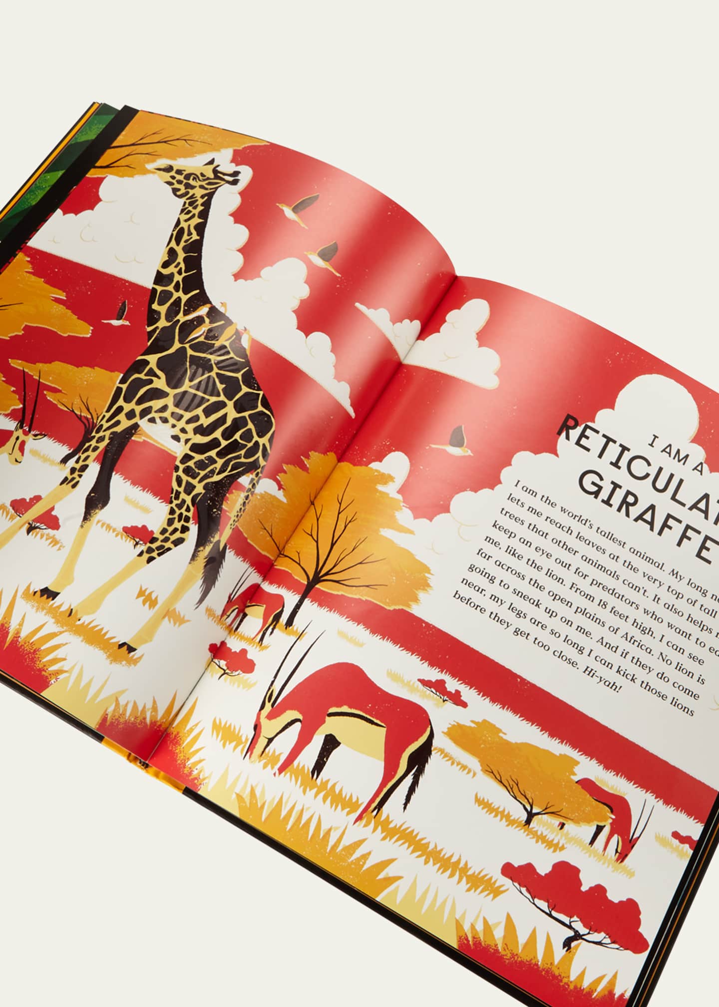 Phaidon Press "Book of Bones" Children's Book Image 2 of 3
