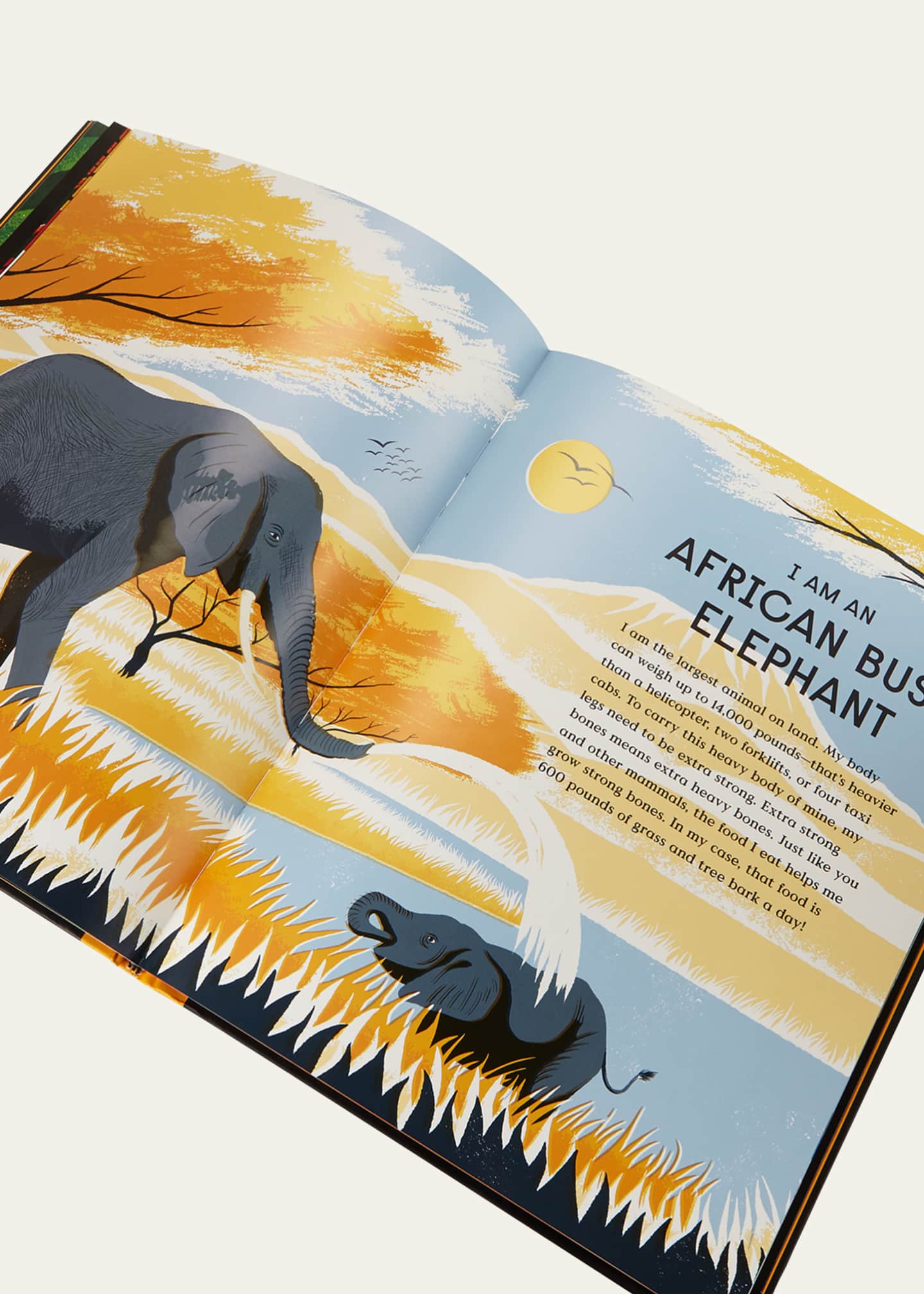 Phaidon Press "Book of Bones" Children's Book Image 3 of 3