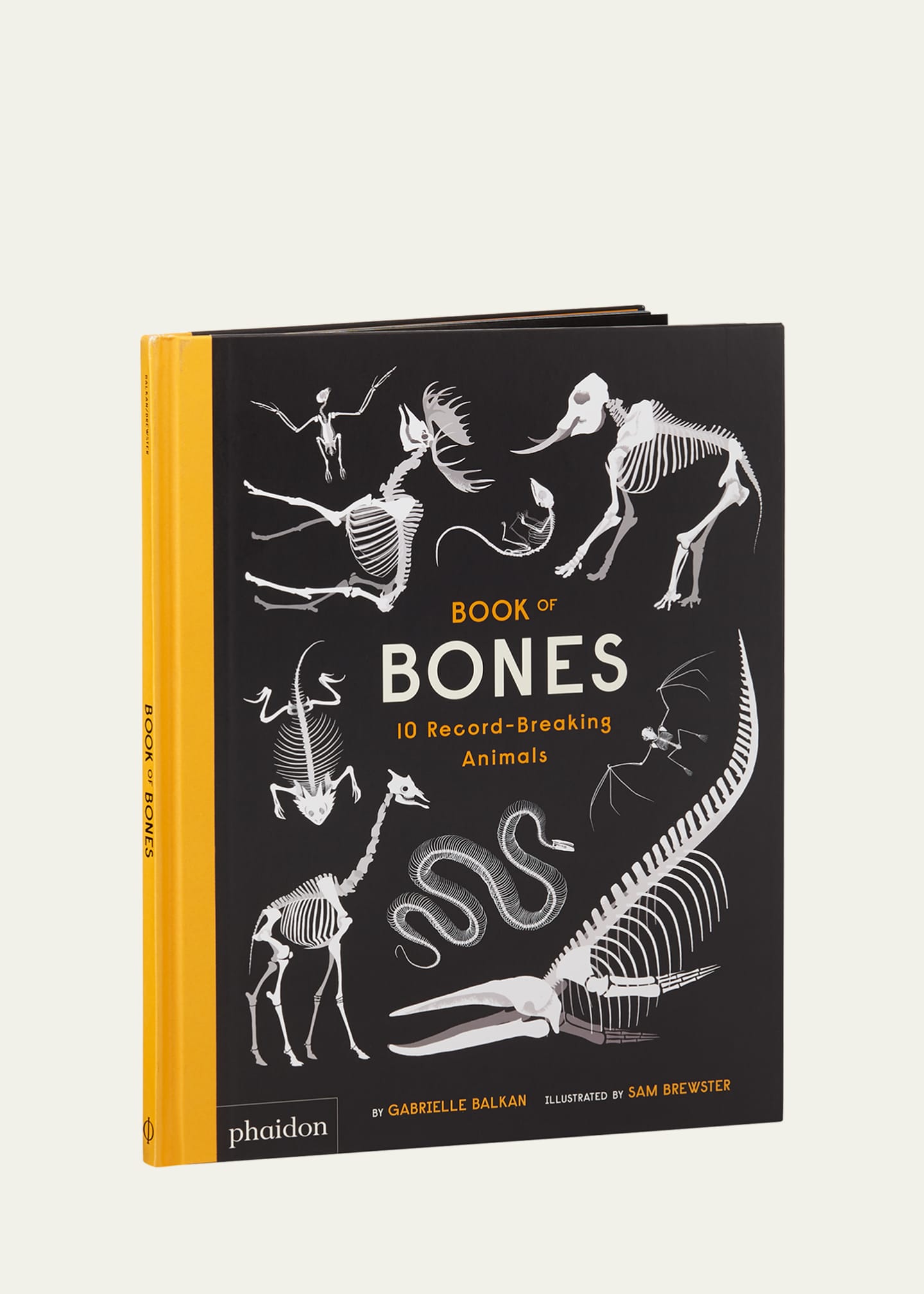 Phaidon Press "Book of Bones" Children's Book Image 1 of 3