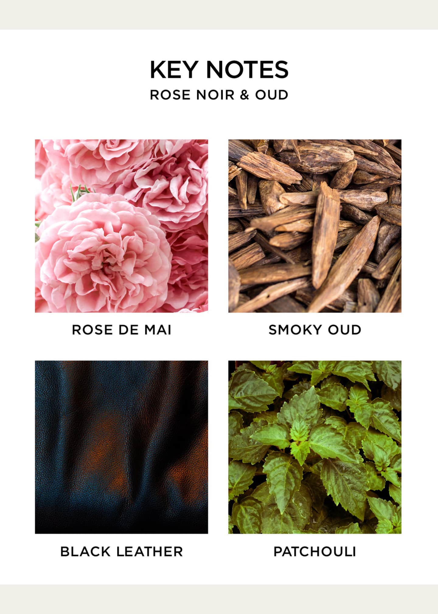 NEST New York 8.1 oz. Rose Noir & Oud Classic Candle Image 5 of 5