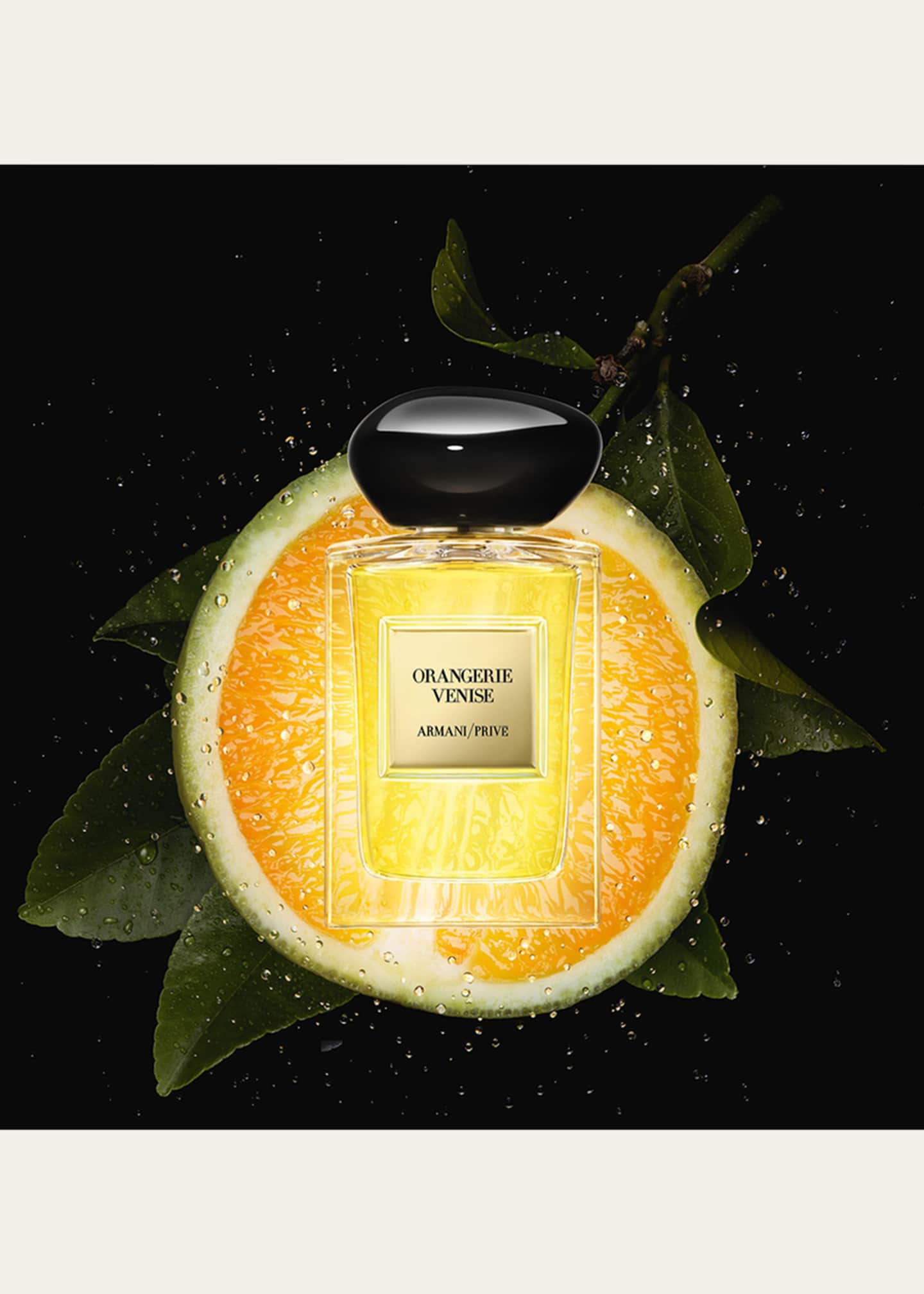 Armani orangerie venise 2025
