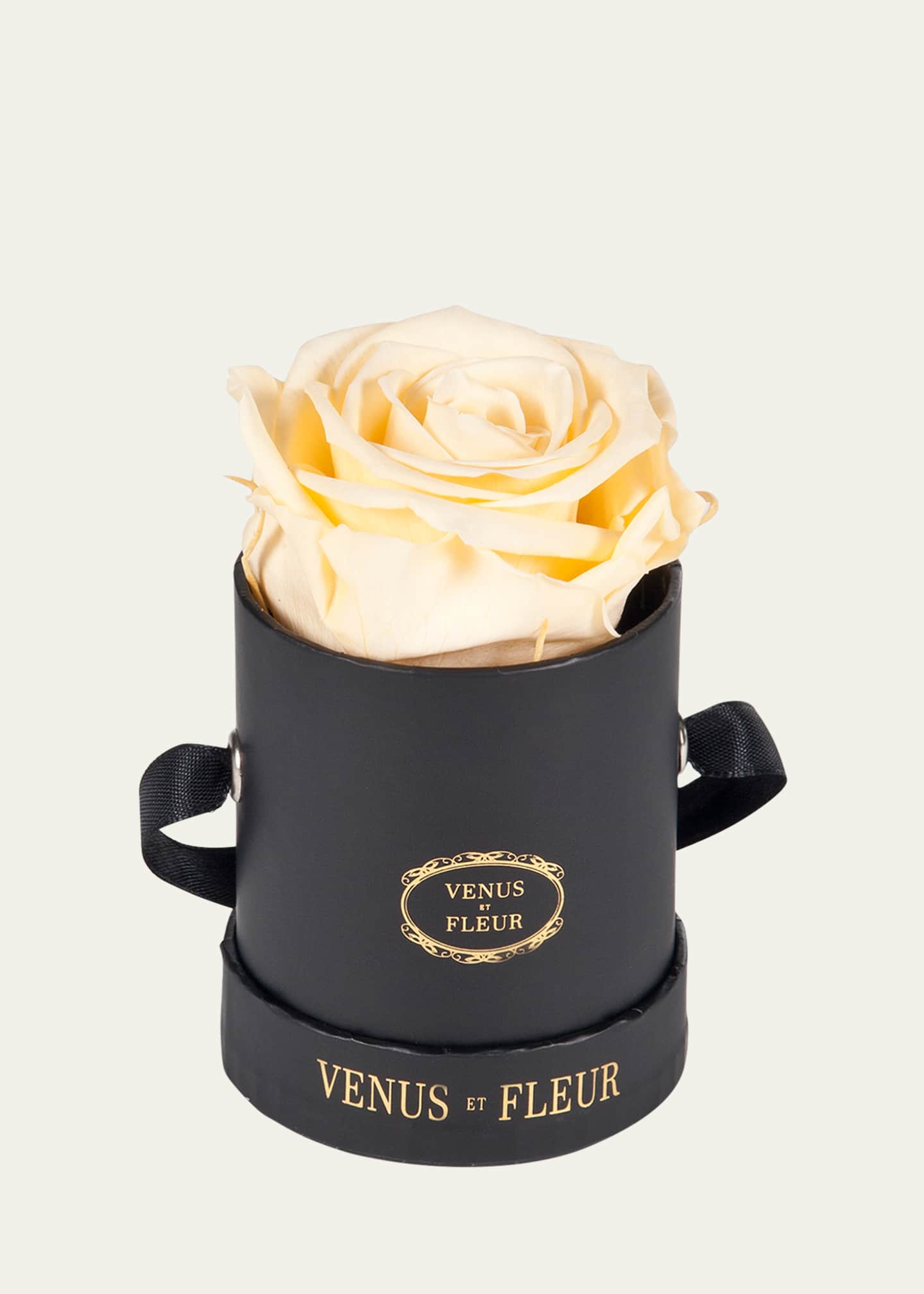 Venus ET Fleur Classic Mini Round Rose Box Bergdorf Goodman