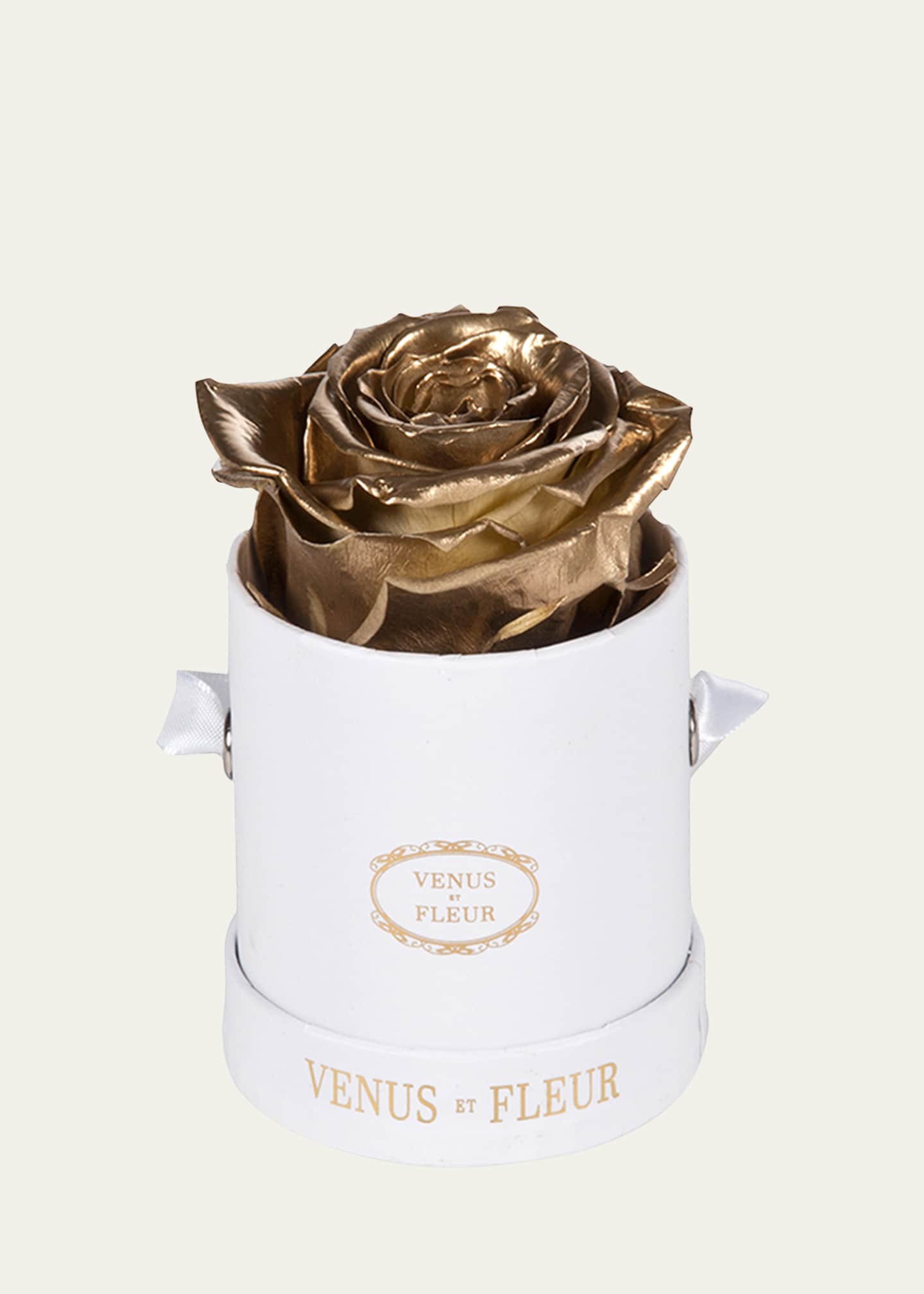 Venus ET Fleur Classic Mini Round Rose Box Bergdorf Goodman