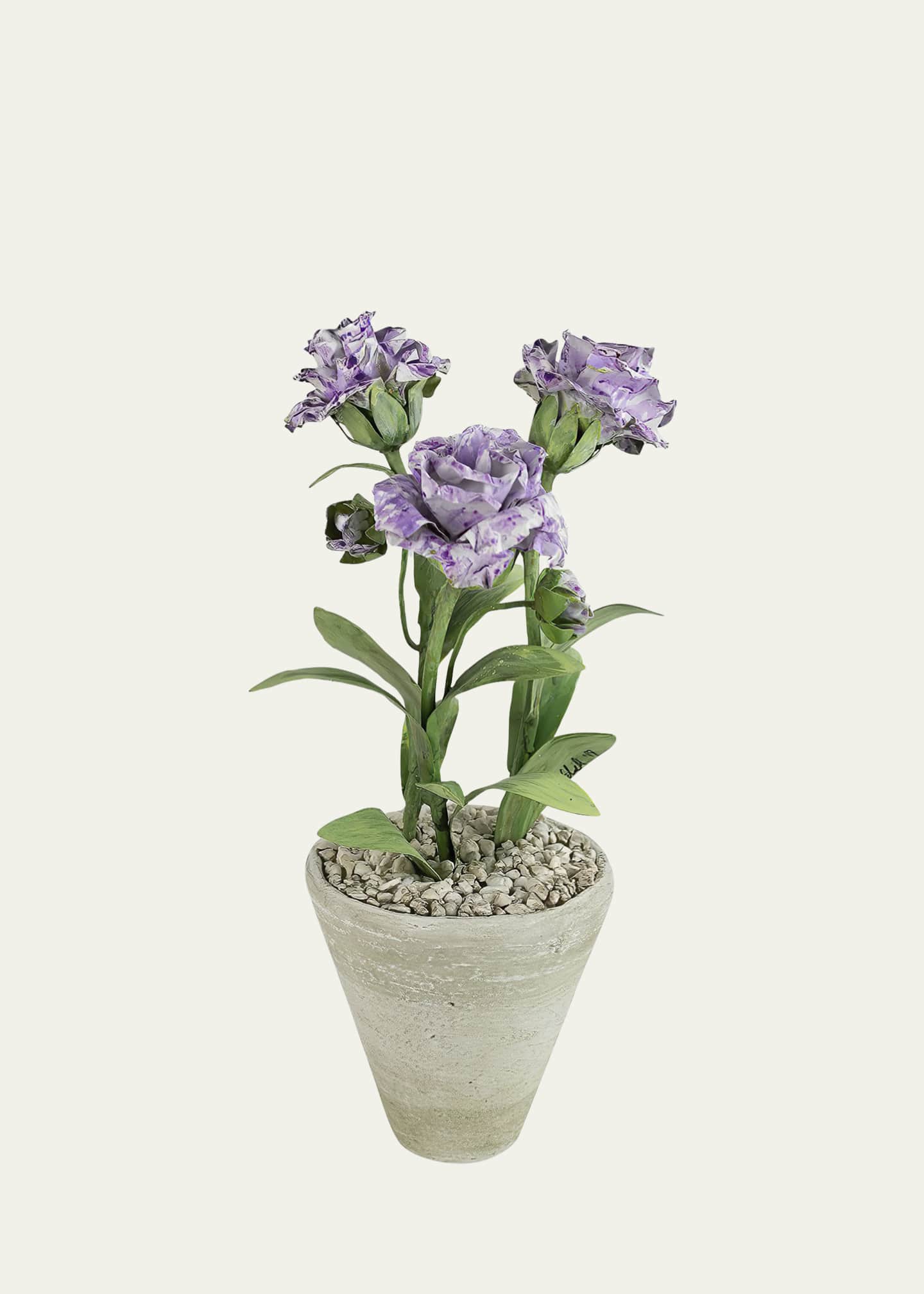 Tommy Mitchell Carnation January Birth Flower in White Terracotta Pot