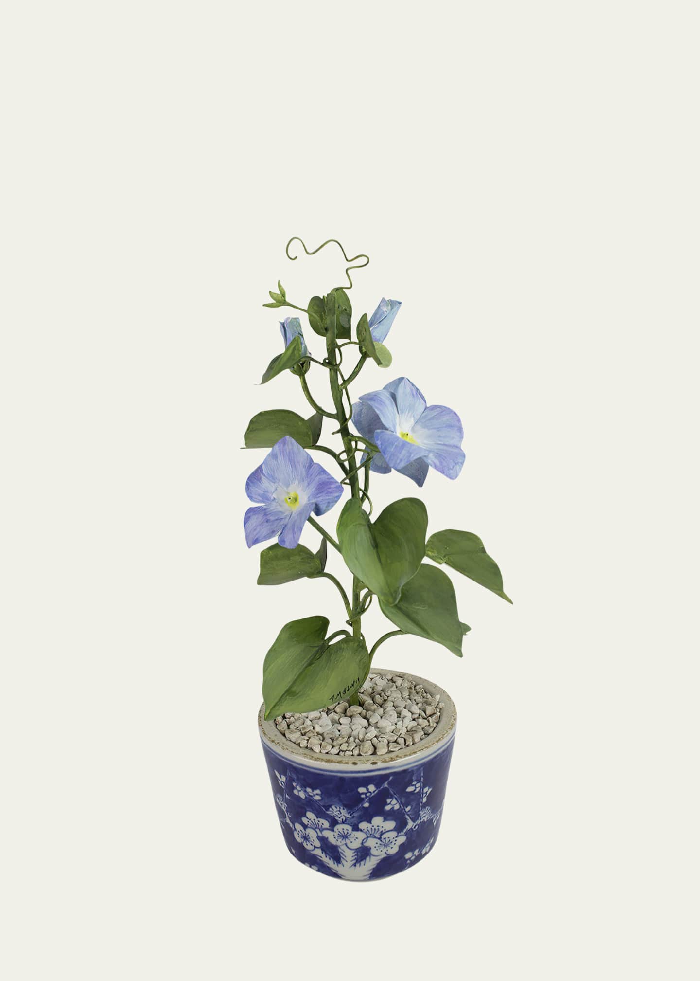 Tommy Mitchell Morning Glory September Birth Flower in Ceramic Pot