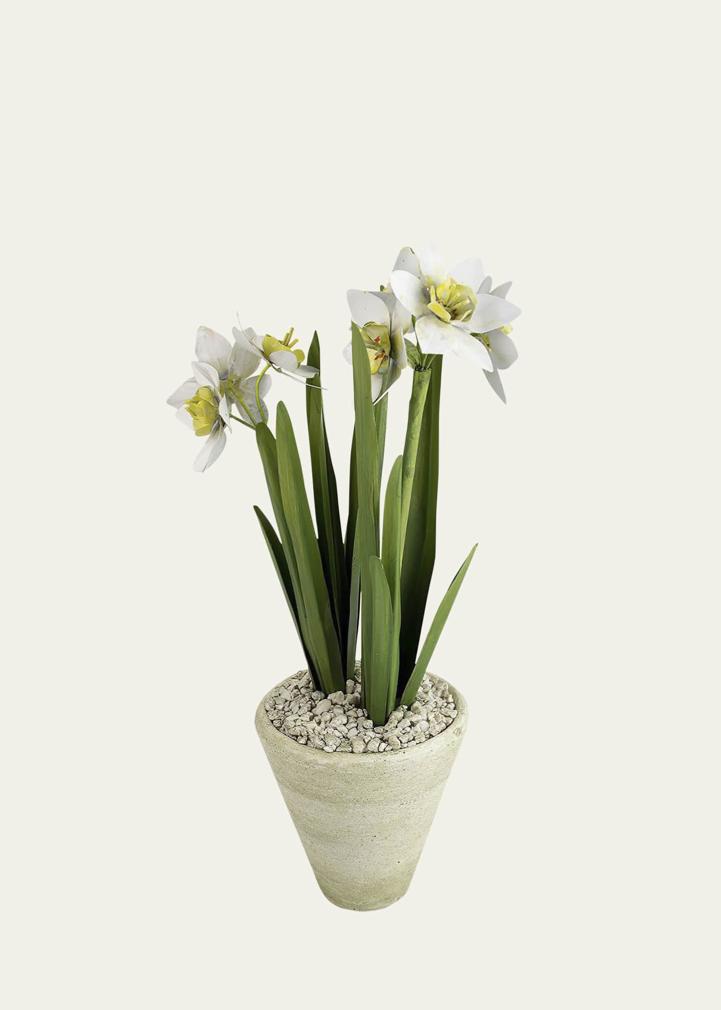 Tommy Mitchell Narcissus December Birth Flower in White Terracotta Pot