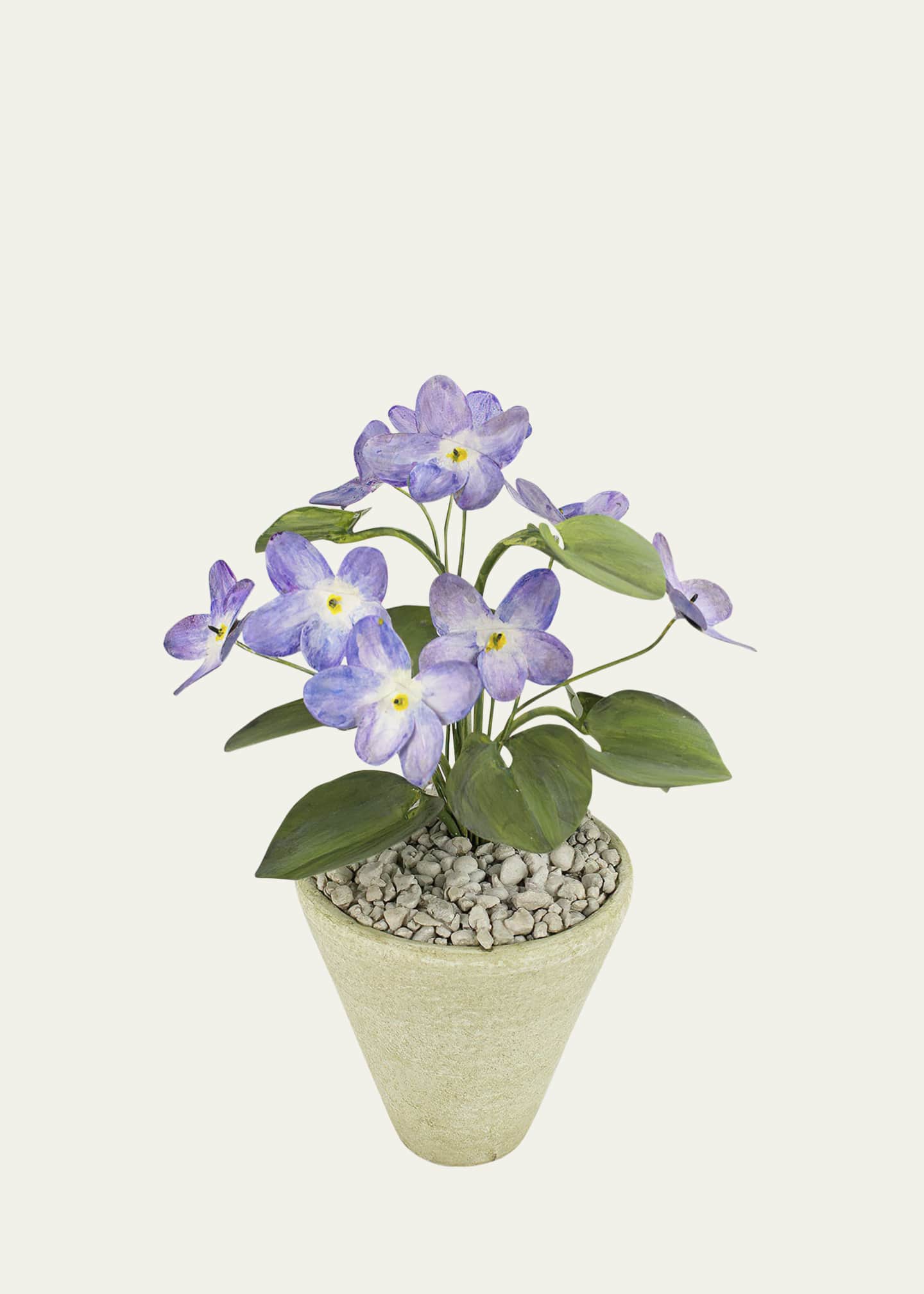 Tommy Mitchell Violet February Birth Flower in White Terracotta Pot