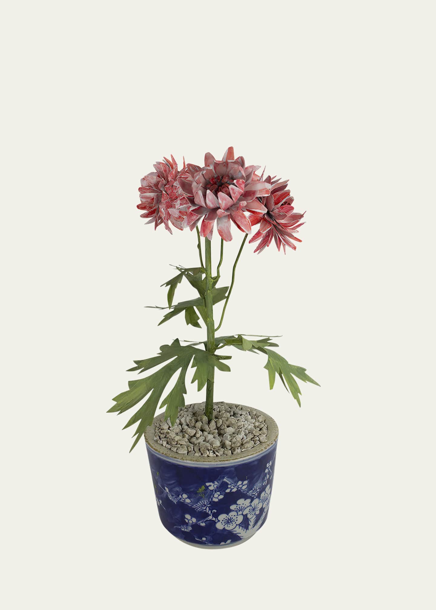 Tommy Mitchell Crysanthemum November Birth Flower in Ceramic Pot