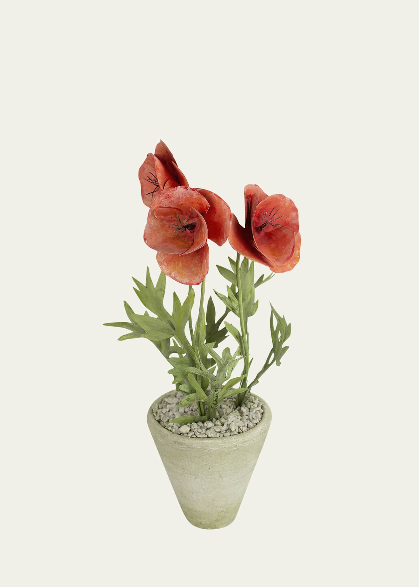 Tommy Mitchell Poppy August Birth Flower in White Terracotta Pot