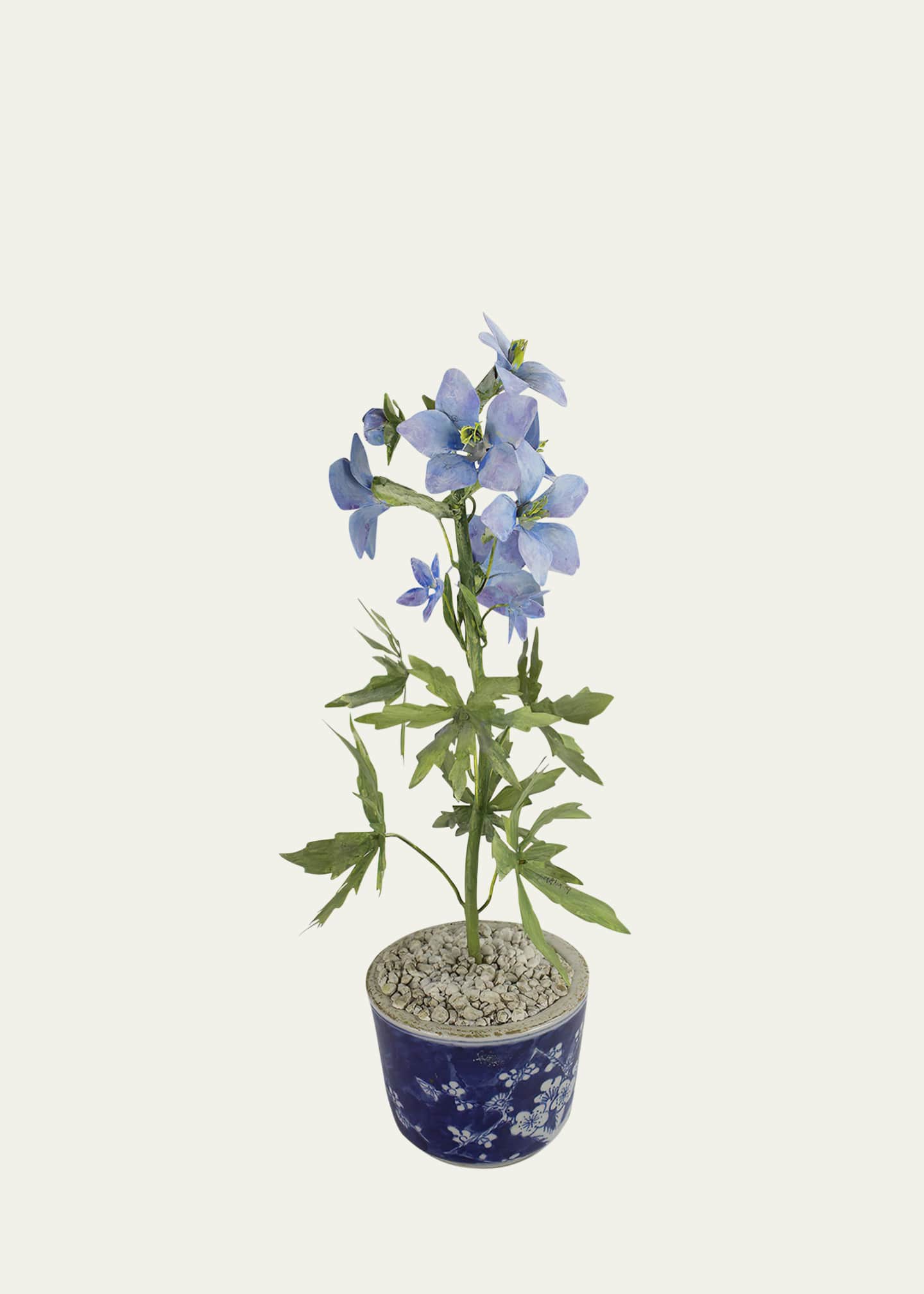 Tommy Mitchell Delphinium July Birth Flower in Ceramic Pot