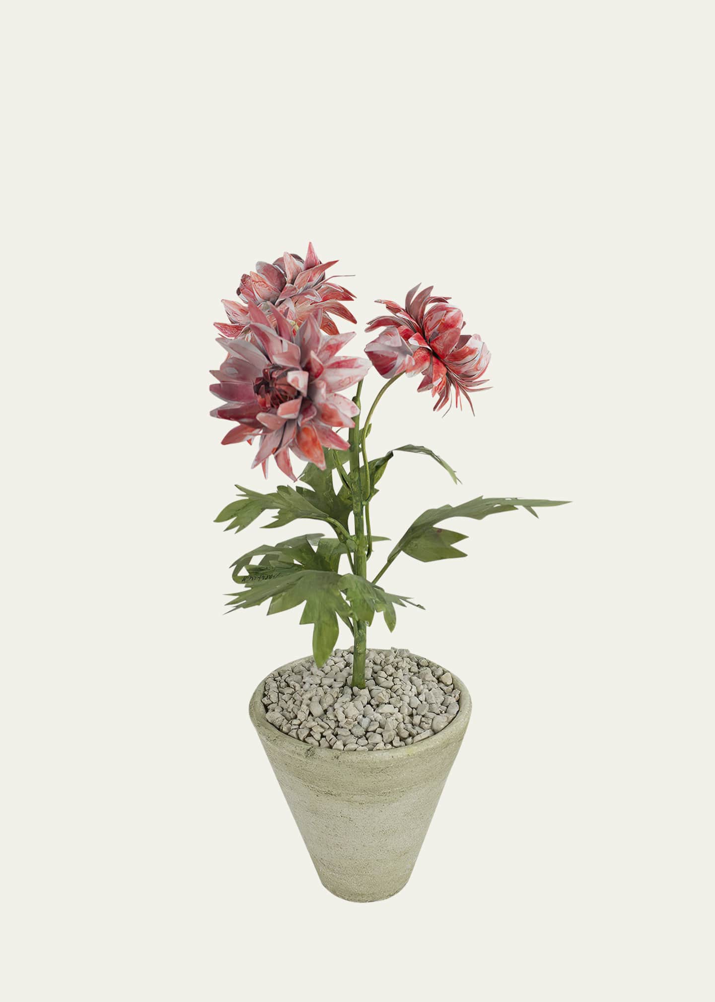 Tommy Mitchell Crysanthemum November Birth Flower in White Terracotta Pot