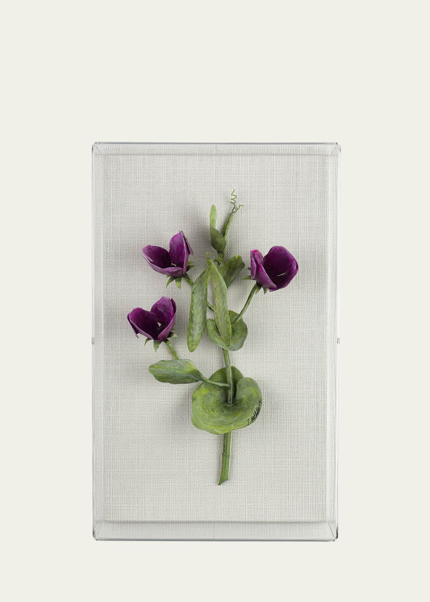 Tommy Mitchell Sweet Pea April Birth Flower Wall Art