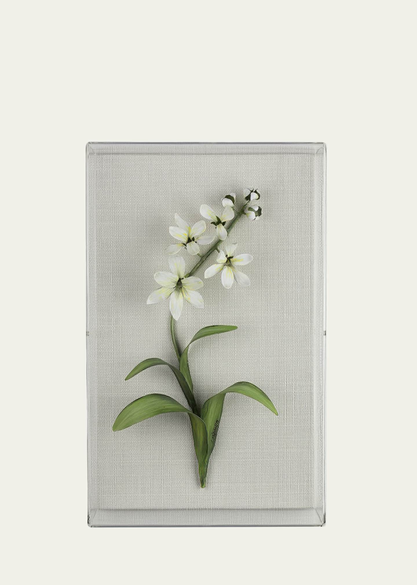 Tommy Mitchell Freesia March Birth Flower Wall Art