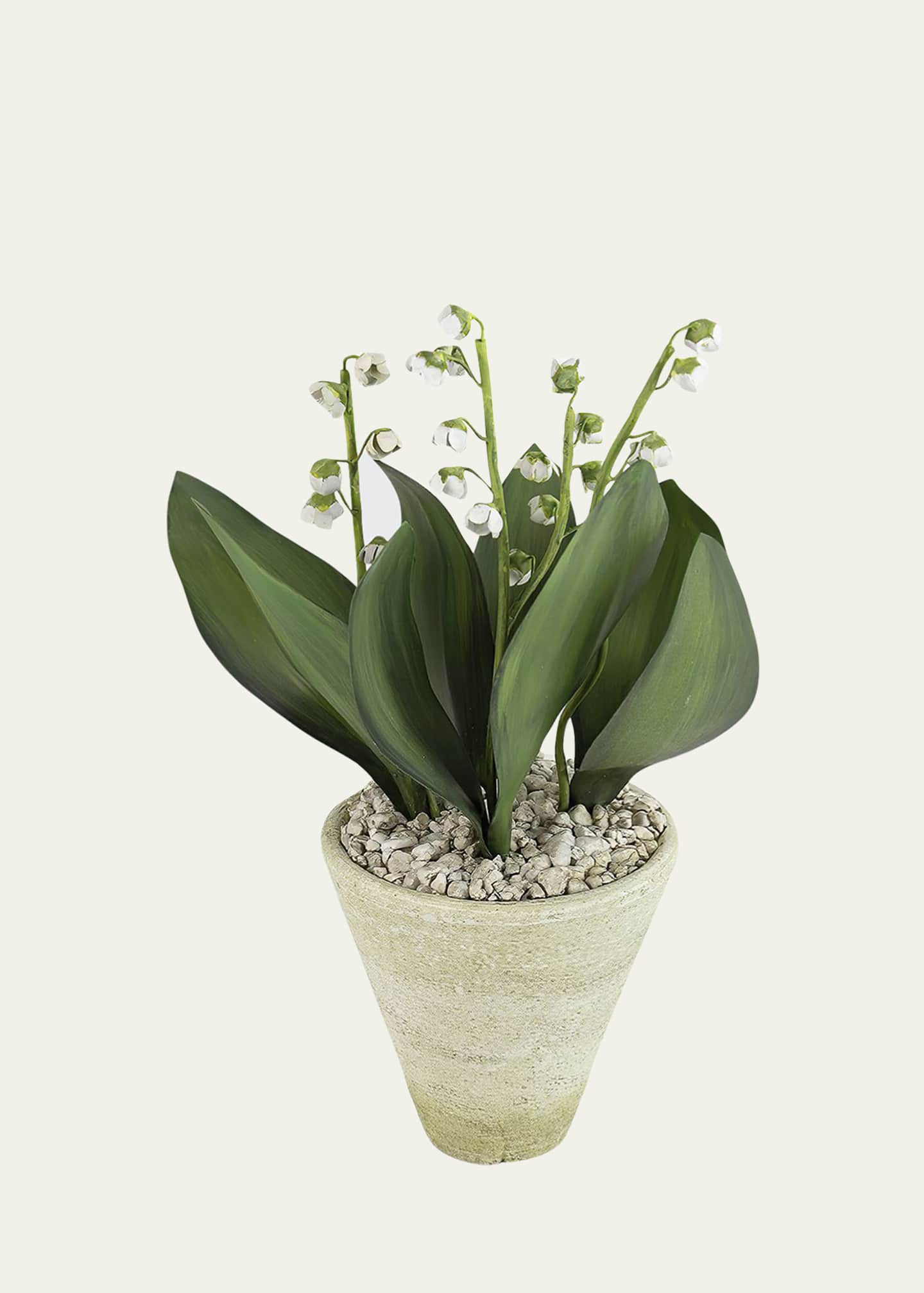 Tommy Mitchell Lily of the Valley May Birth Flower in White Terracotta Pot