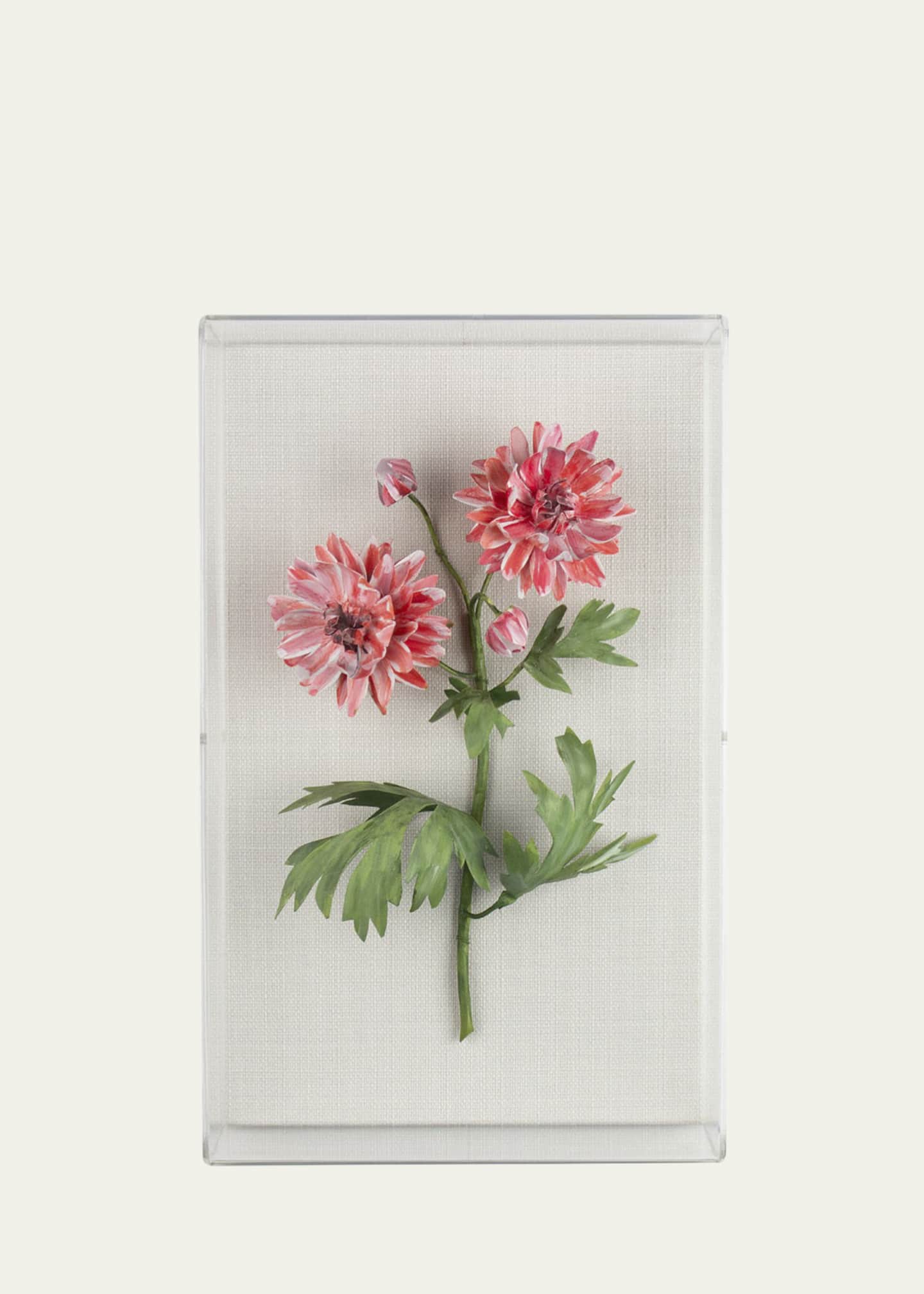Tommy Mitchell Crysanthemum November - Wall Art Goodman Birth Bergdorf Flower