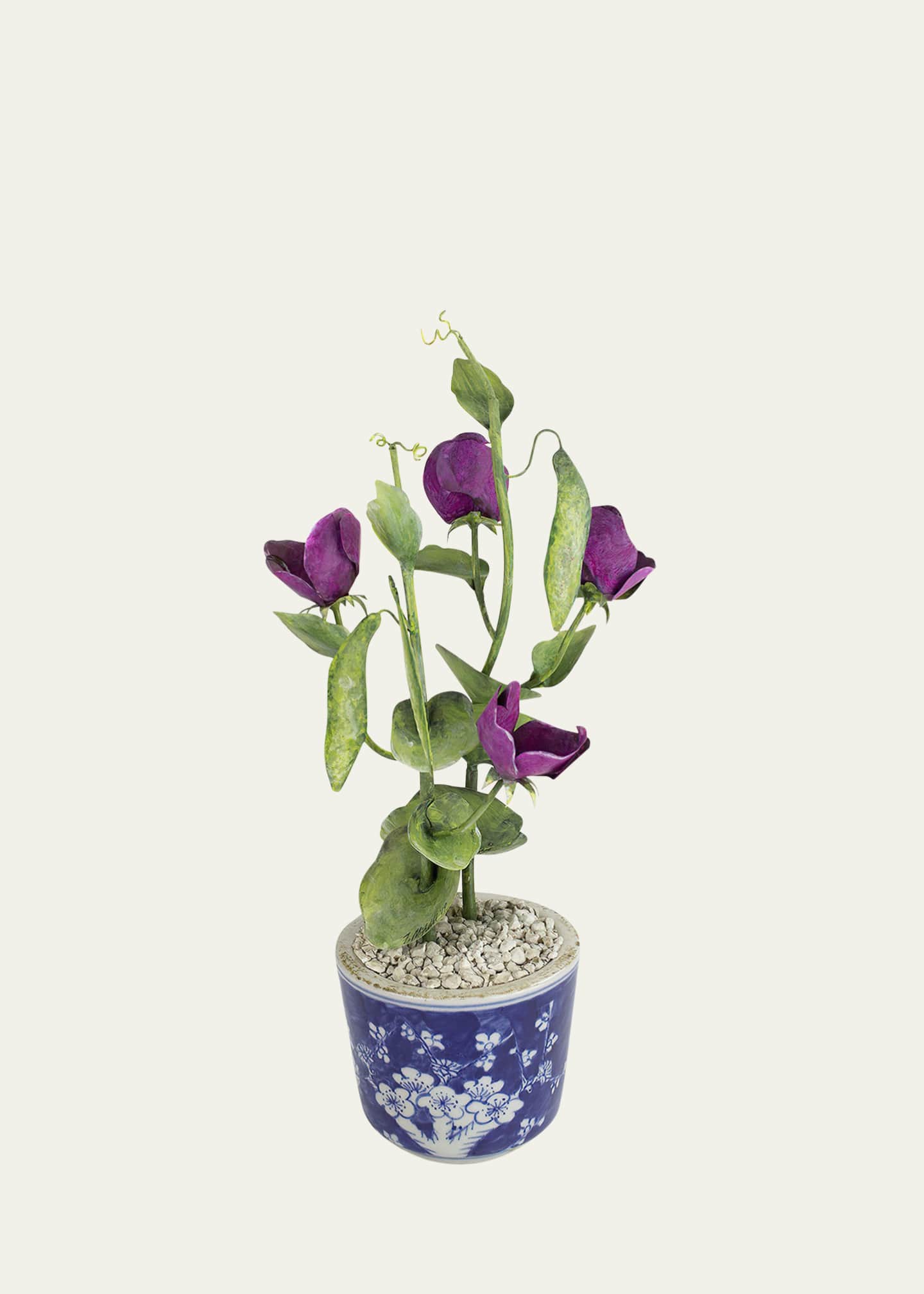 Tommy Mitchell Sweet Pea April Birth Flower in Ceramic Pot
