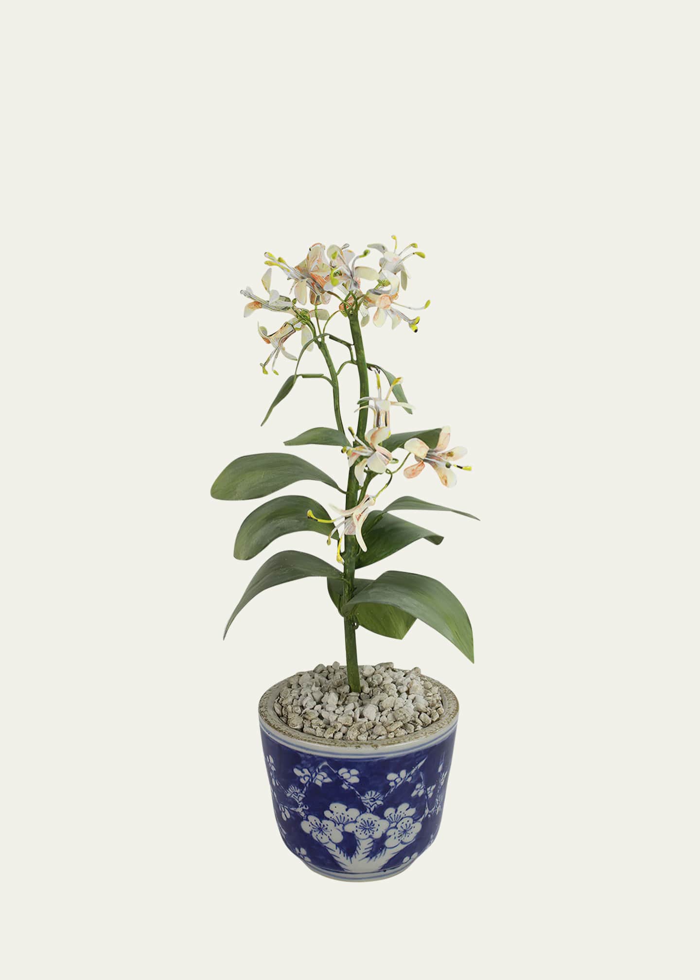 Tommy Mitchell Honeysuckle June Birth Flower in Ceramic Pot