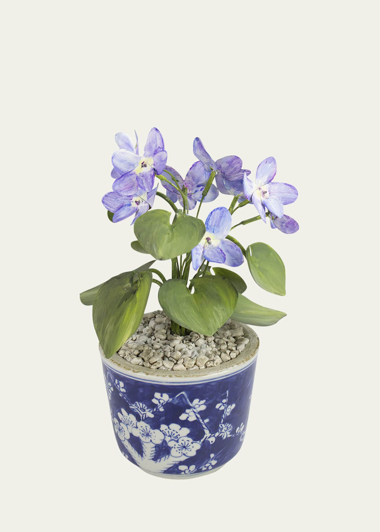 Tommy Mitchell Violet February Birth Flower in Ceramic Pot