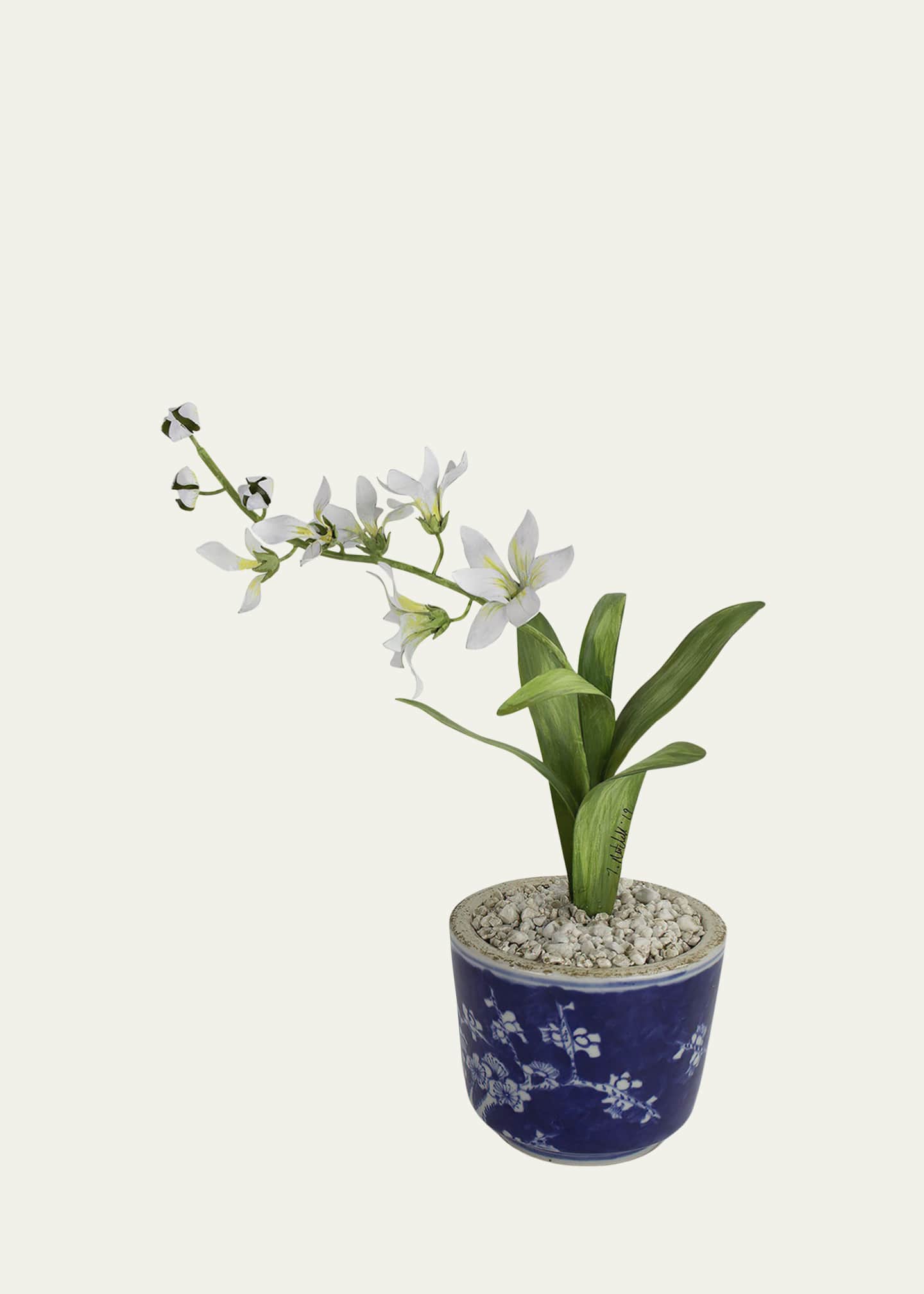 Tommy Mitchell Freesia March Birth Flower in Ceramic Pot