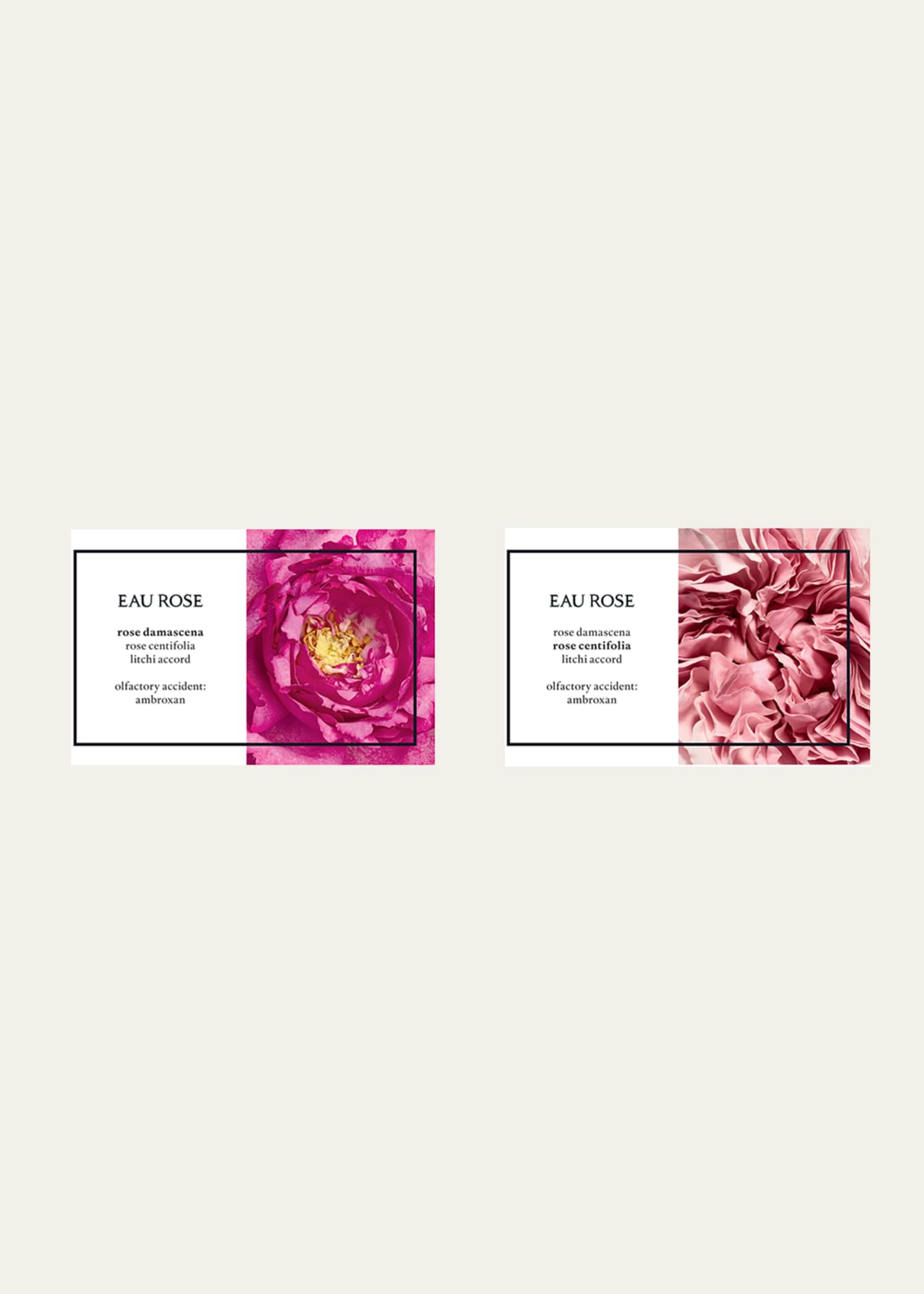 DIPTYQUE 1.7 oz. Eau Rose Eau de Toilette Image 4 of 4