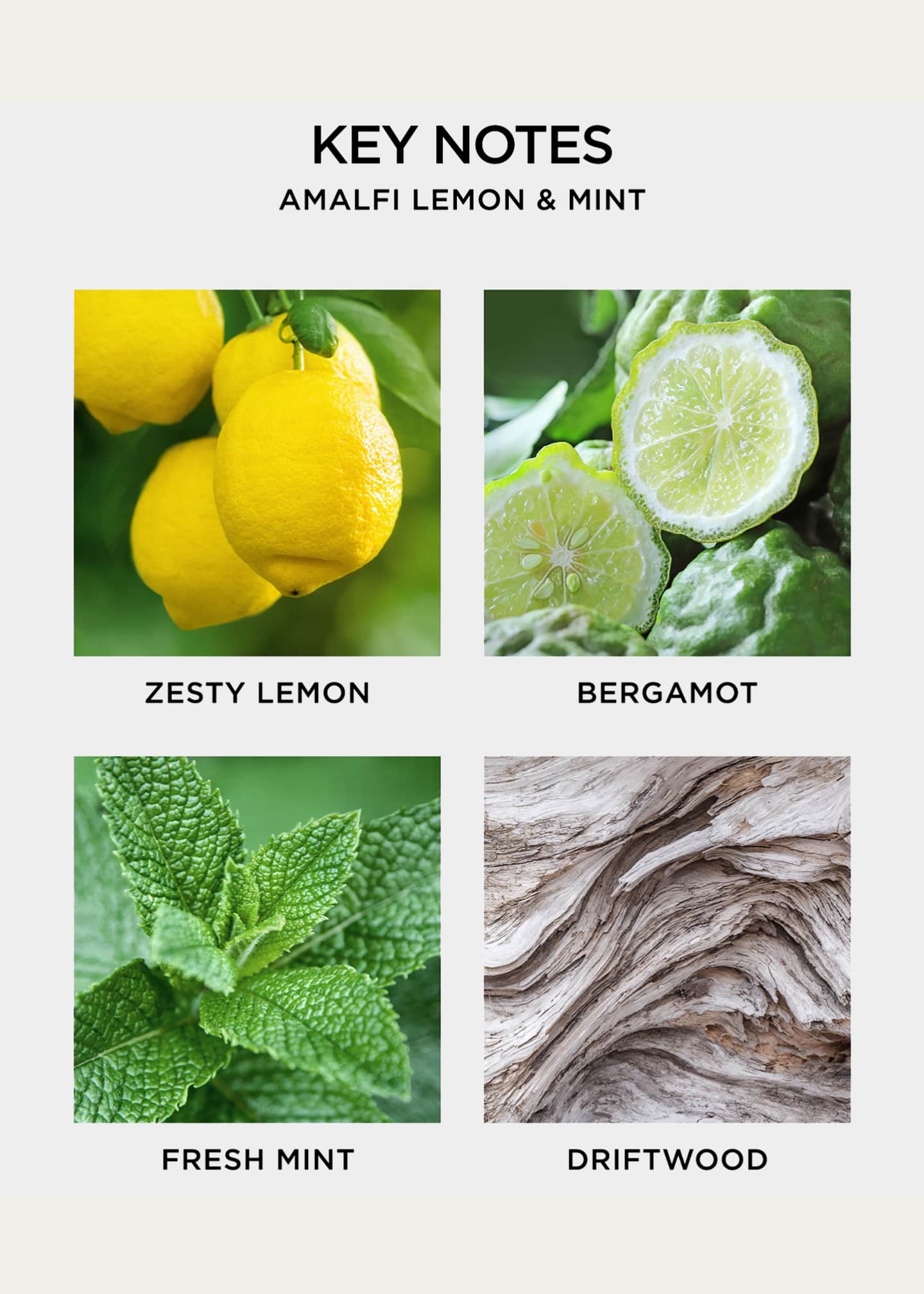 NEST New York 21 oz. Amalfi Lemon & Mint 3Wick Candle Bergdorf Goodman