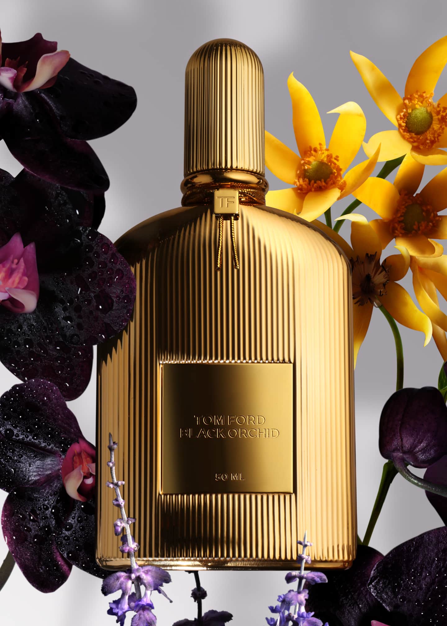 TOM FORD Black Orchid Parfum, 1.7 oz. - Bergdorf Goodman
