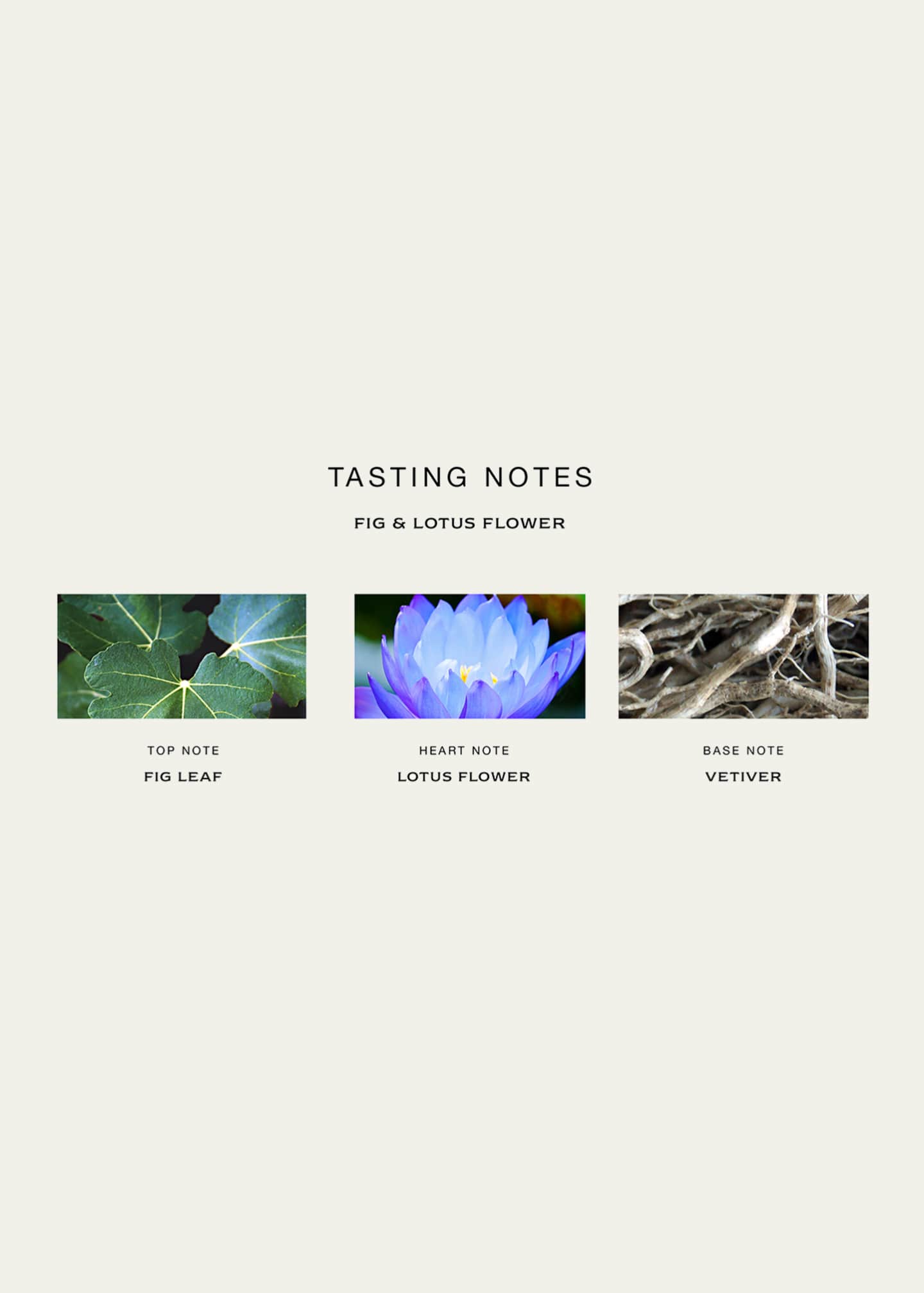 Jo malone london fig & lotus flower clearance