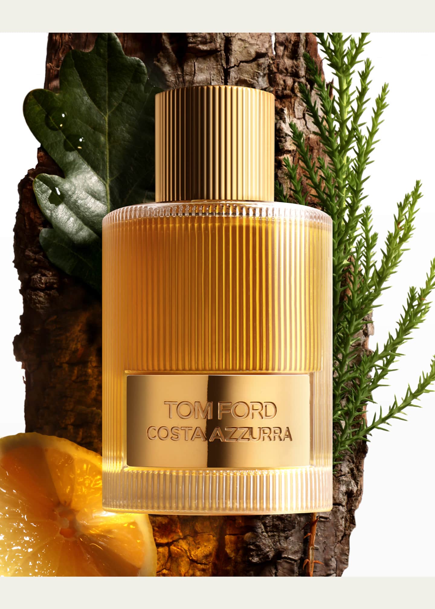 TOM FORD Costa Azzurra Eau de Parfum Fragrance, 3.4 oz Image 2 of 2