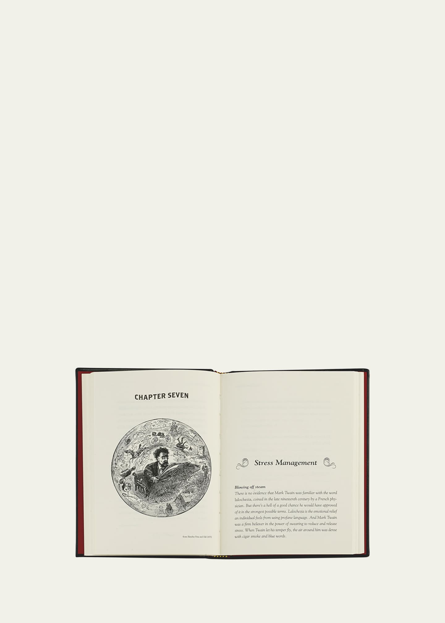 Graphic Image "Mark Twain's Words of Wisdom" Book by Mark Twain Image 2 of 5