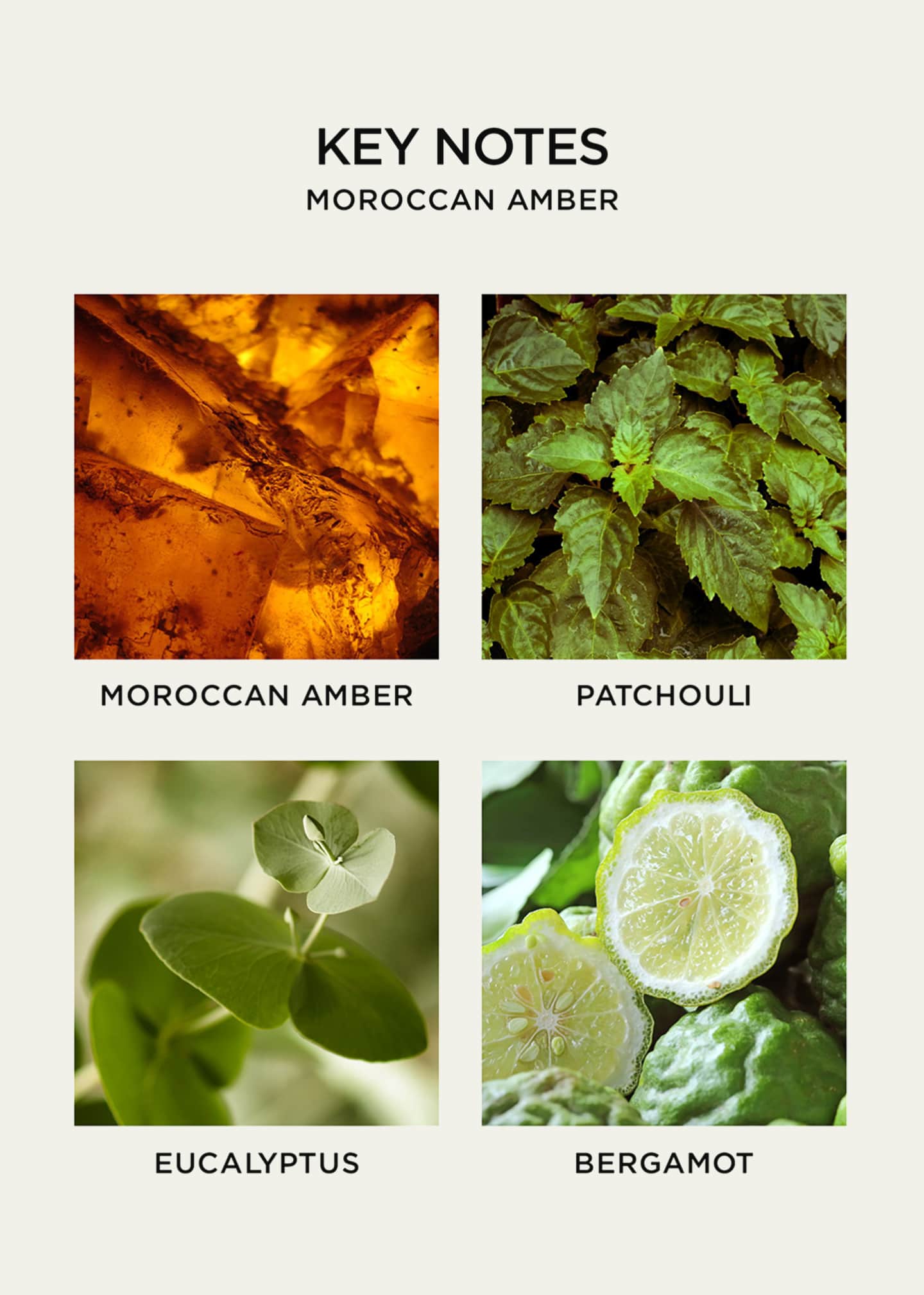 NEST New York Moroccan Amber Wall Diffuser Refill Set Image 5 of 5